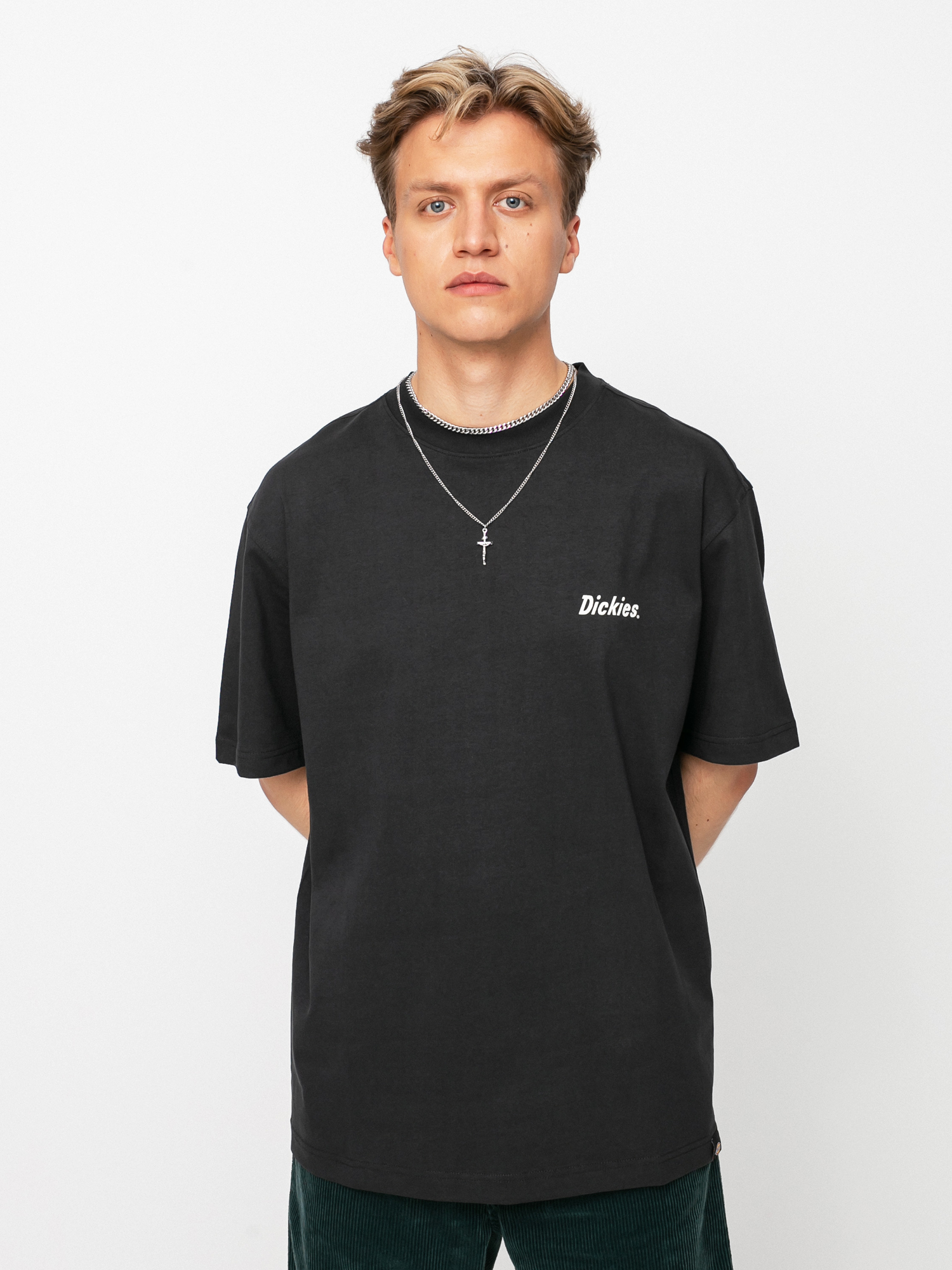 T-shirt Dickies Bettles (black)