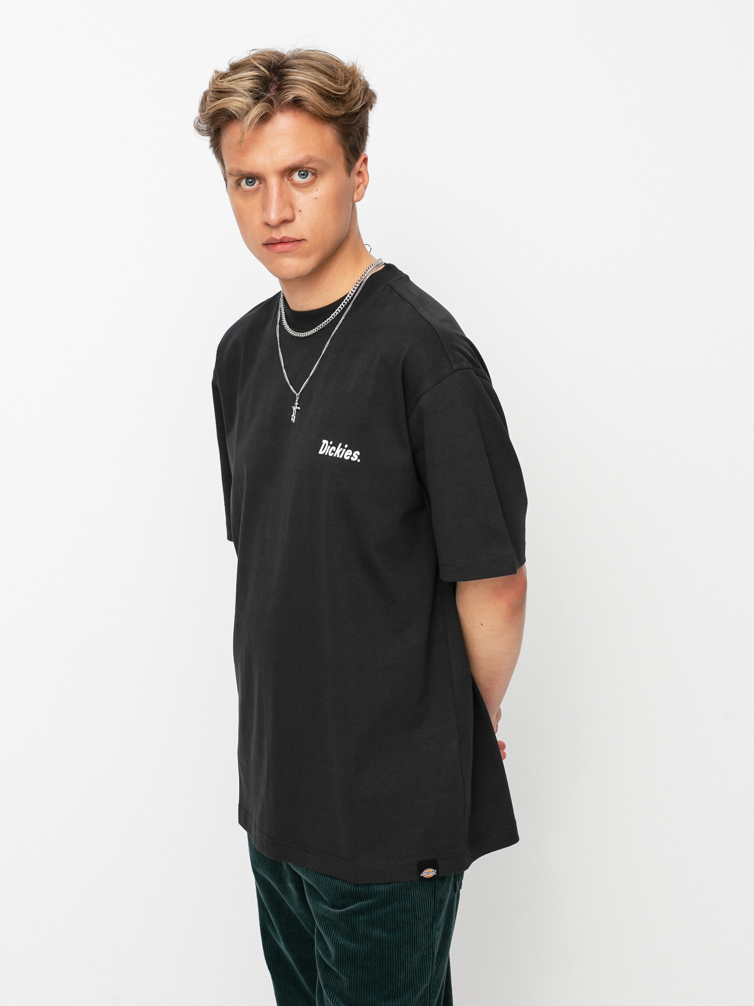 T-shirt Dickies Bettles (black)