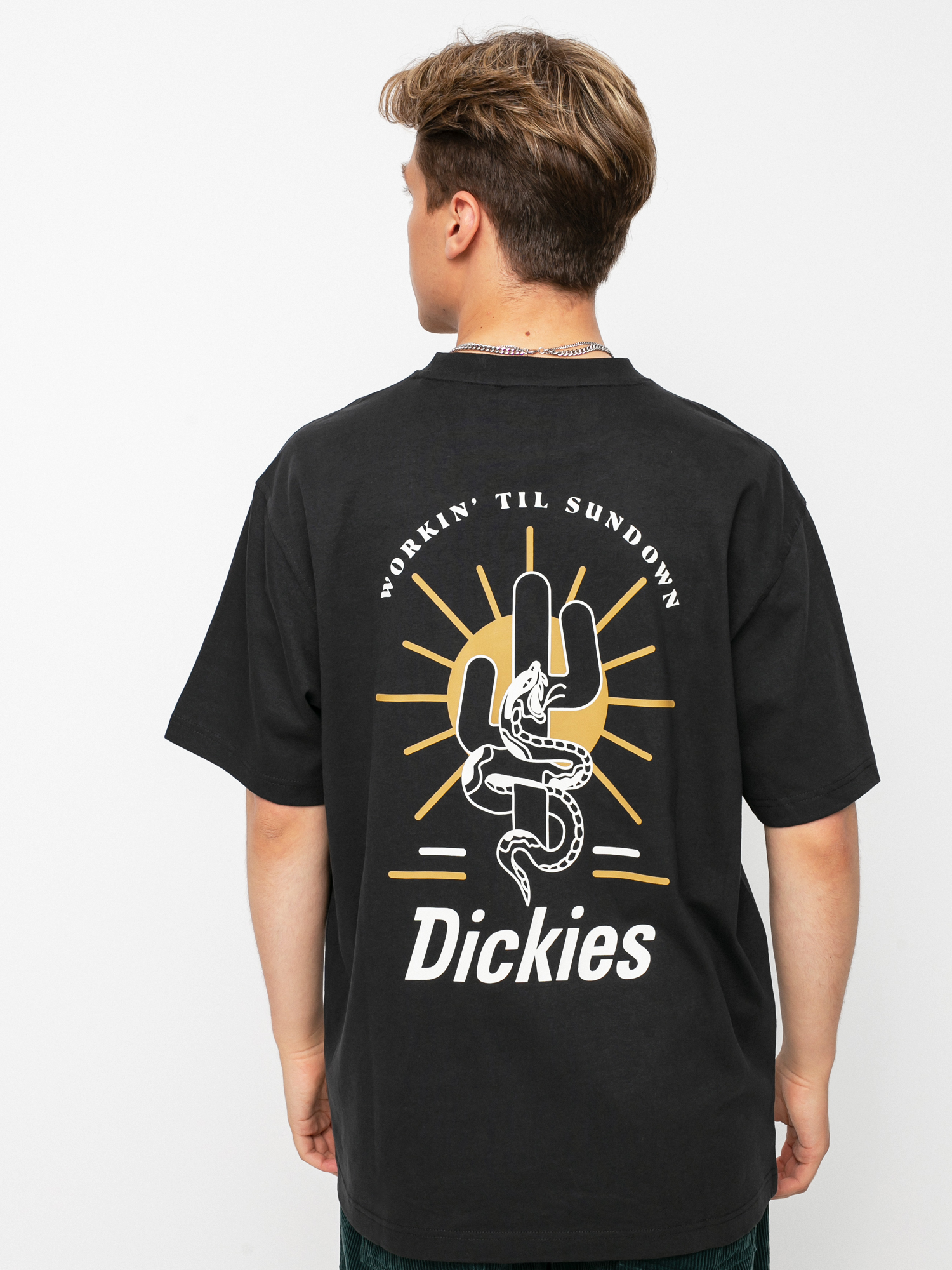 T-shirt Dickies Bettles (black)