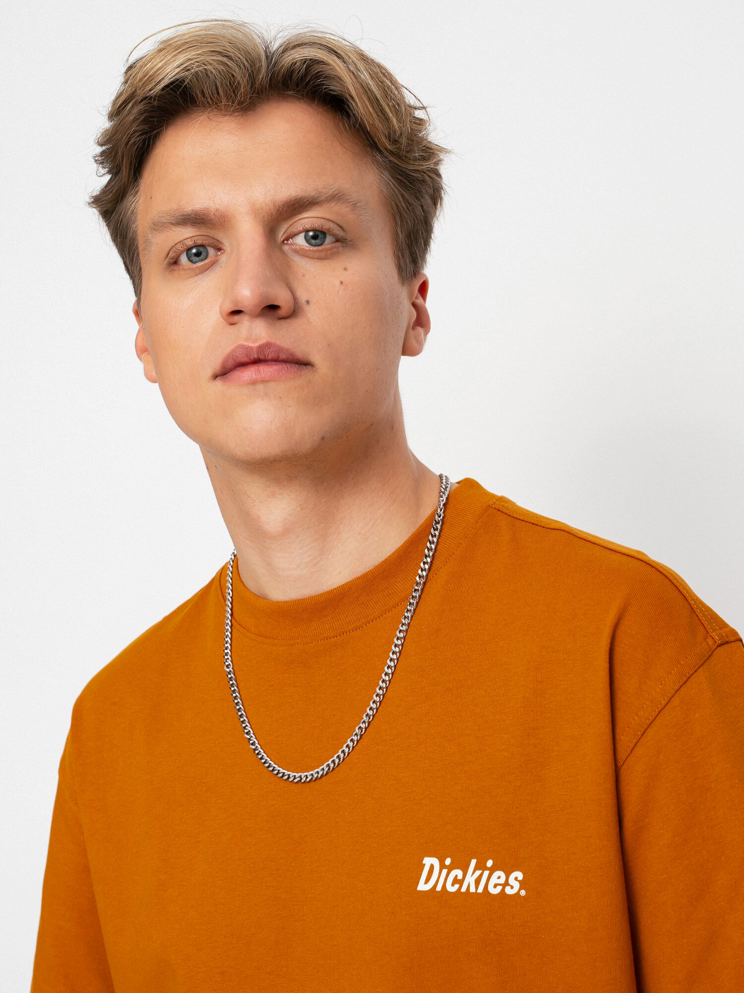 T-shirt Dickies Bettles (pumpkin spice)