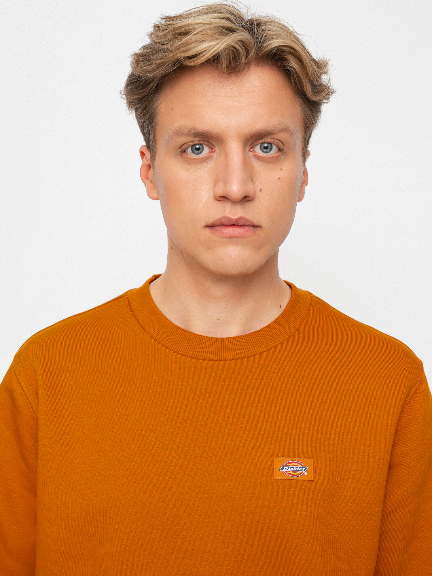 Bluza Dickies Oakport (pumpkin spice)