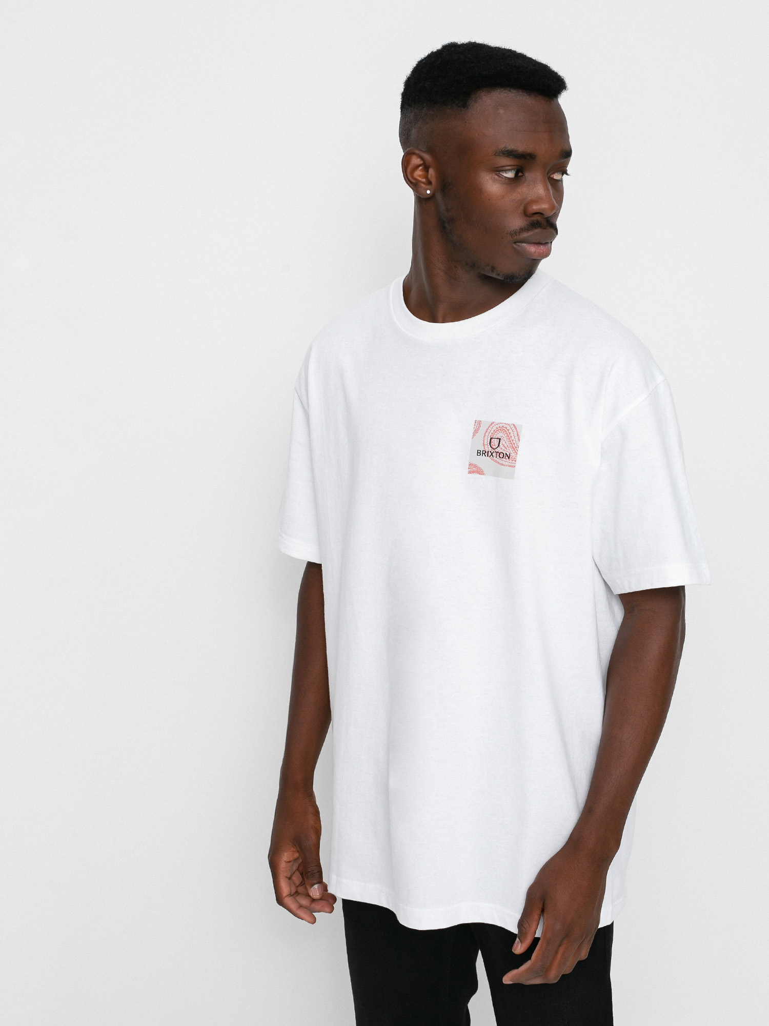 T-shirt Brixton Alpha Square Stt (paisley white)