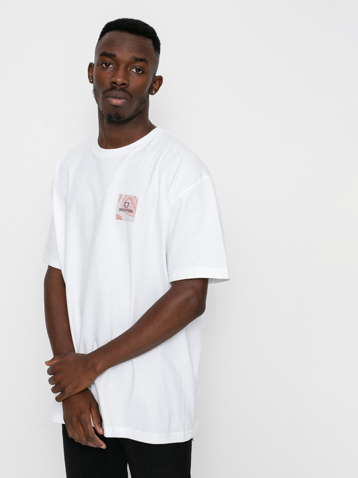 T-shirt Brixton Alpha Square Stt (paisley white)