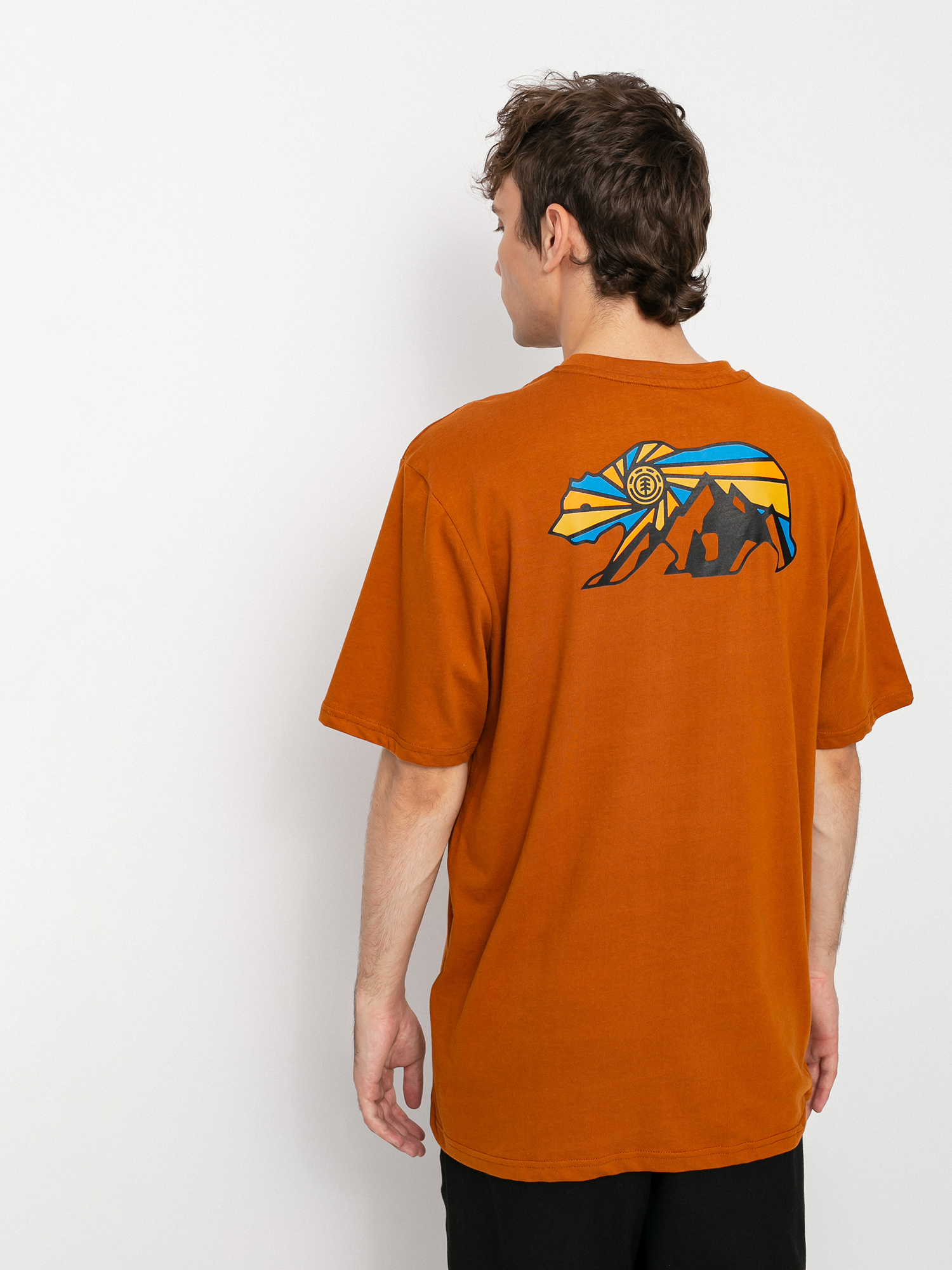 T-shirt Element Blanton (glazed ginger)