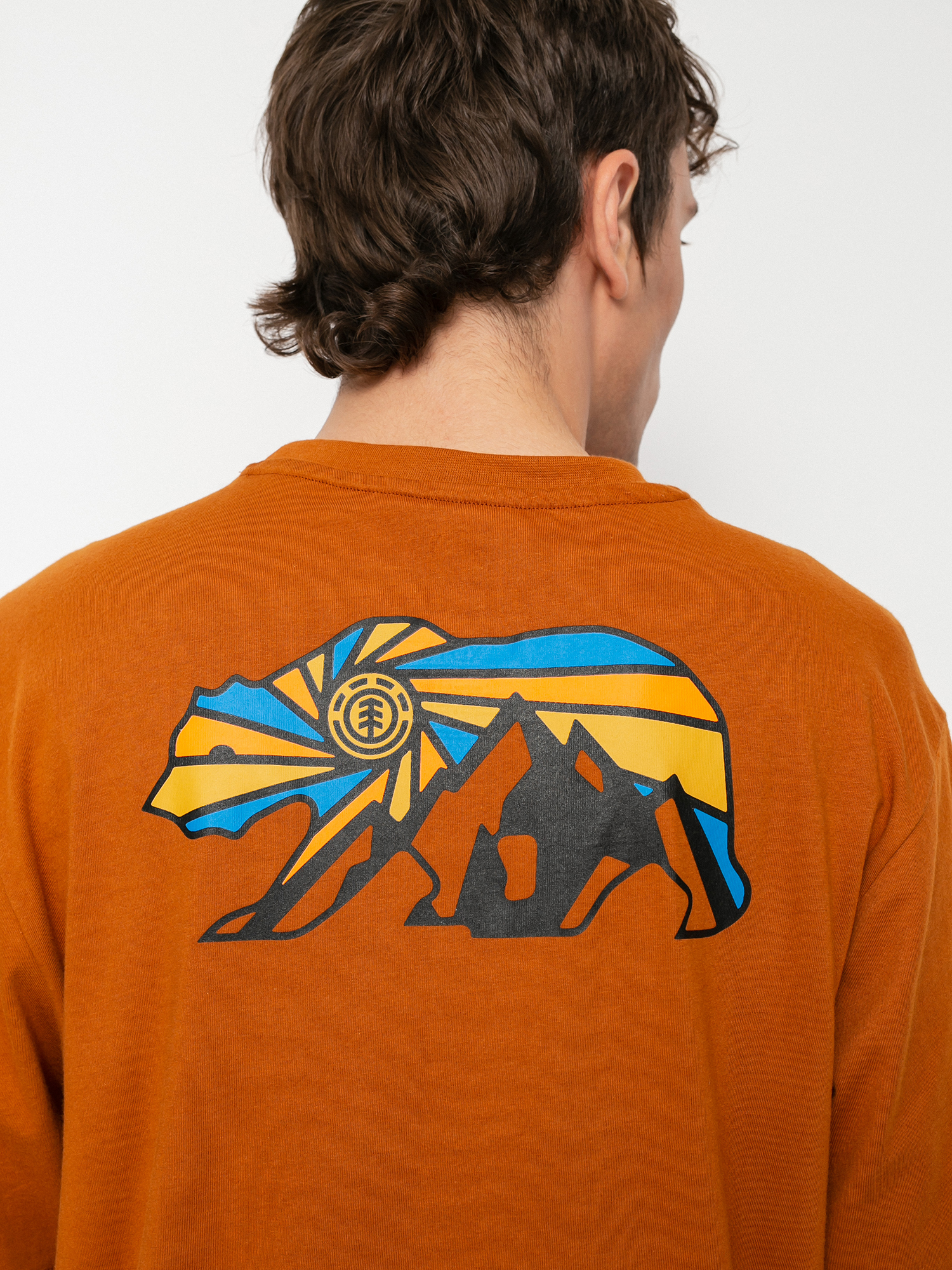 T-shirt Element Blanton (glazed ginger)