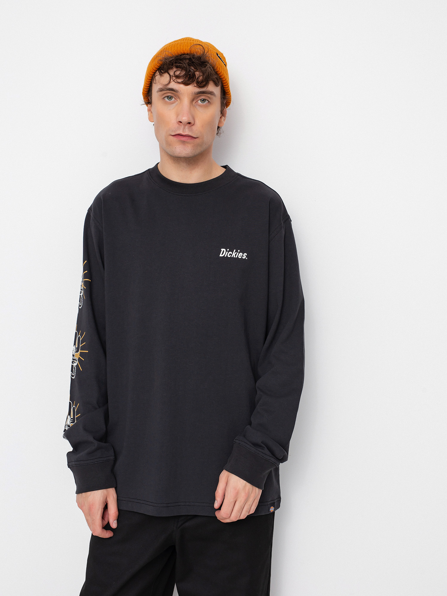 Longsleeve Dickies Bettles (black)