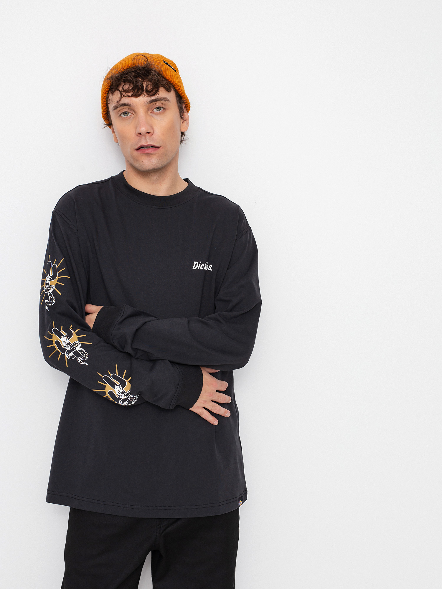 Longsleeve Dickies Bettles (black)