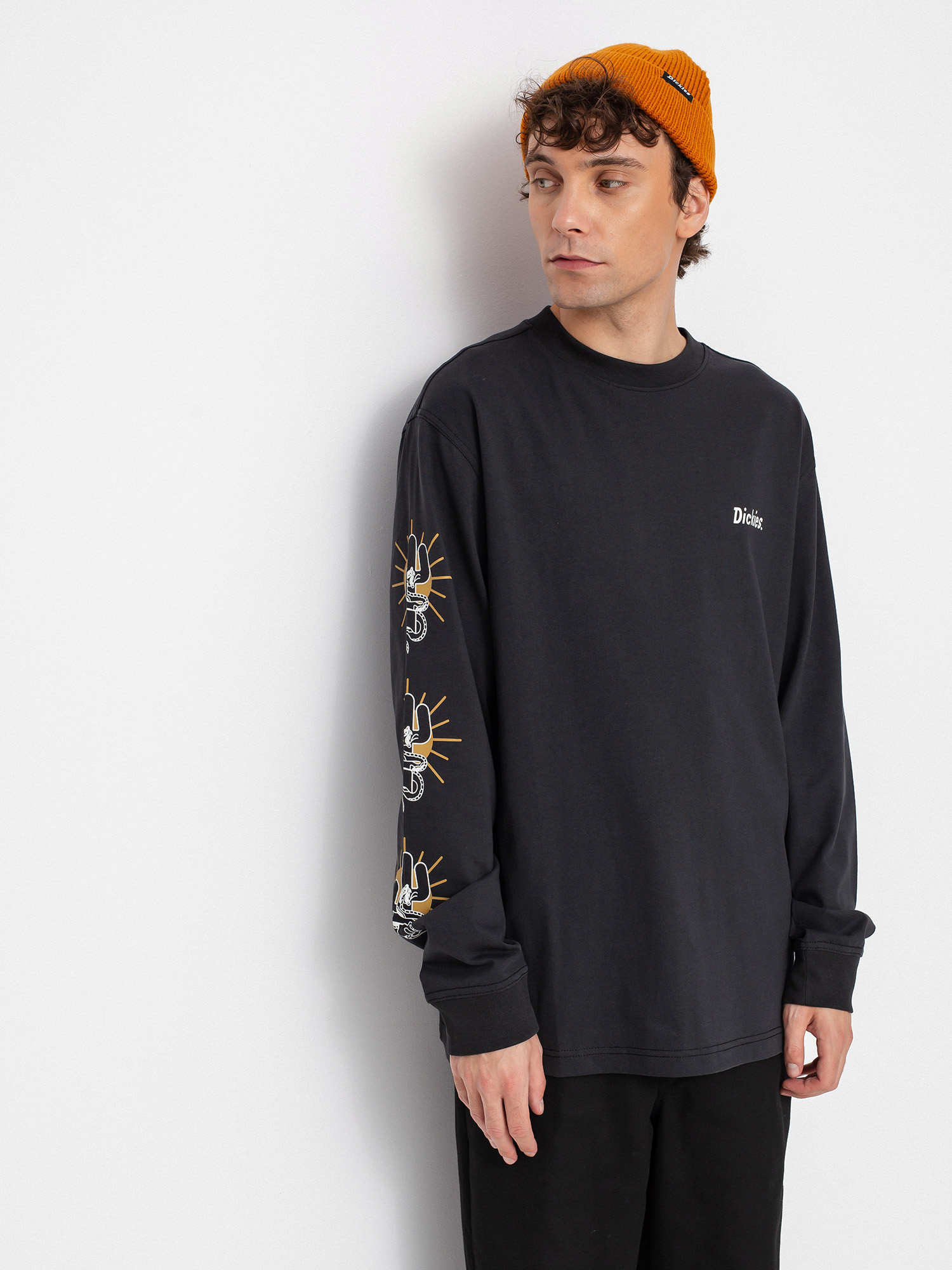 Longsleeve Dickies Bettles (black)