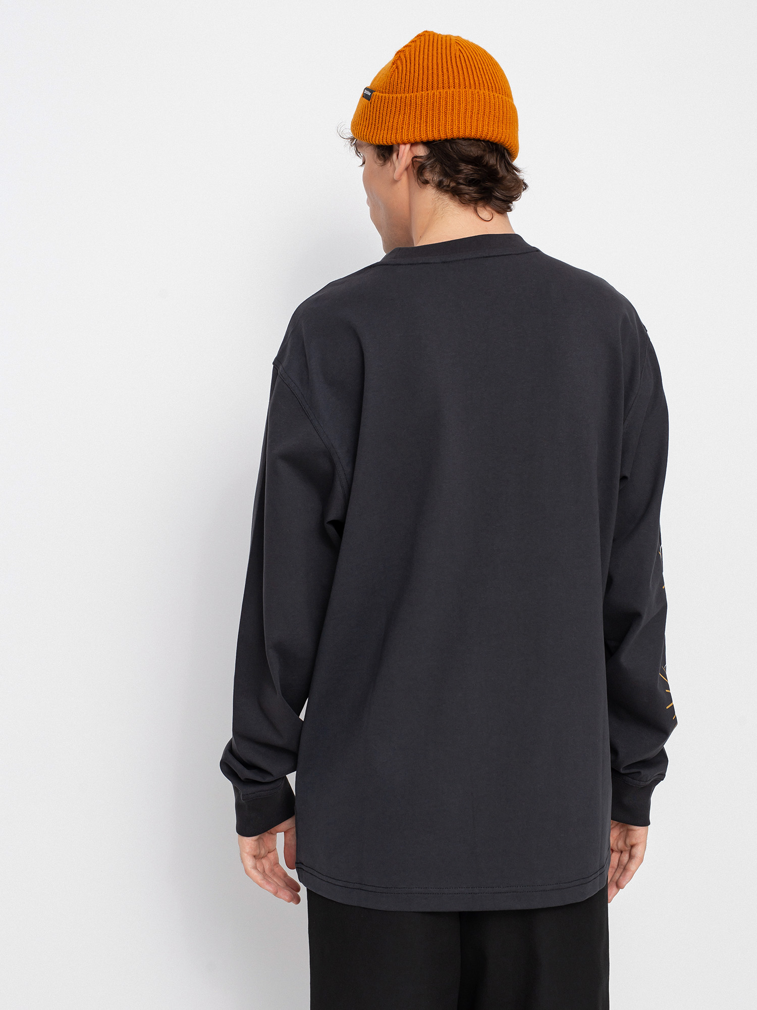 Longsleeve Dickies Bettles (black)