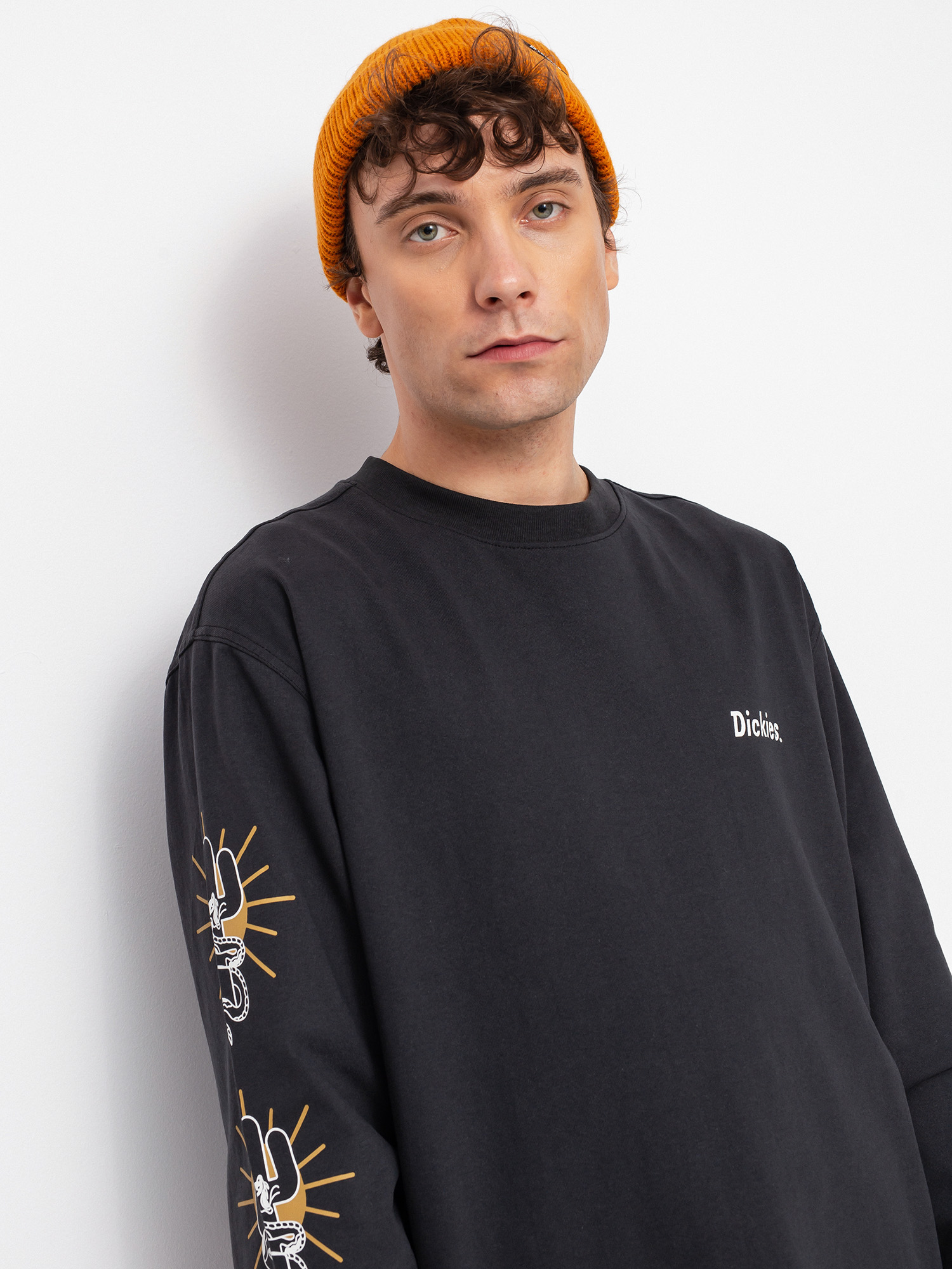 Longsleeve Dickies Bettles (black)