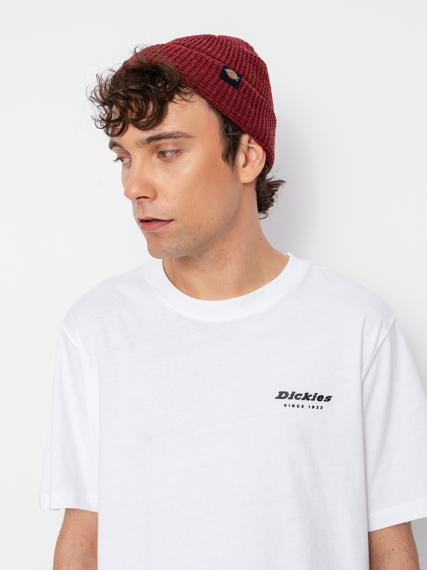 T-shirt Dickies Reworked (white)