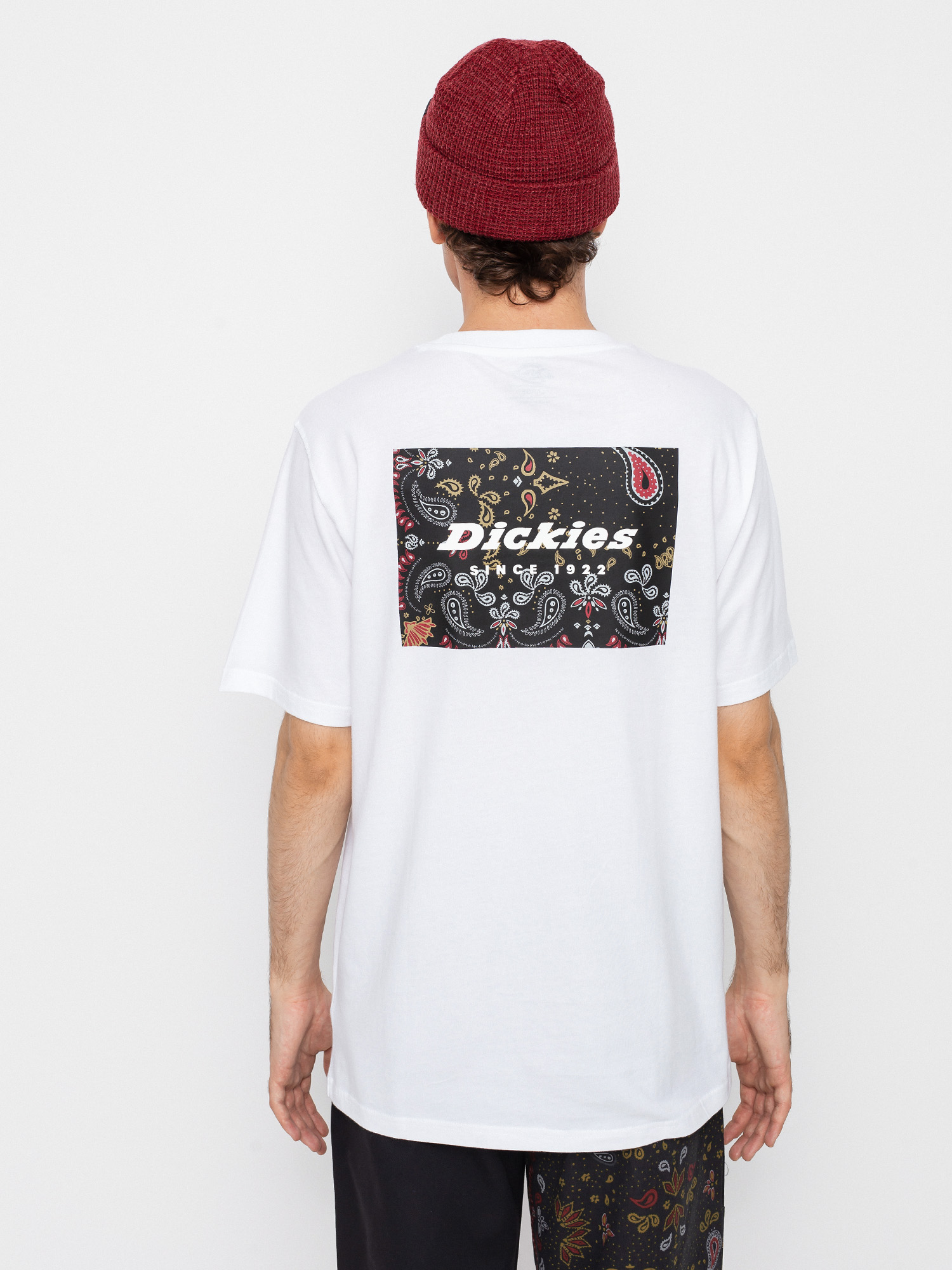 T-shirt Dickies Reworked (white)