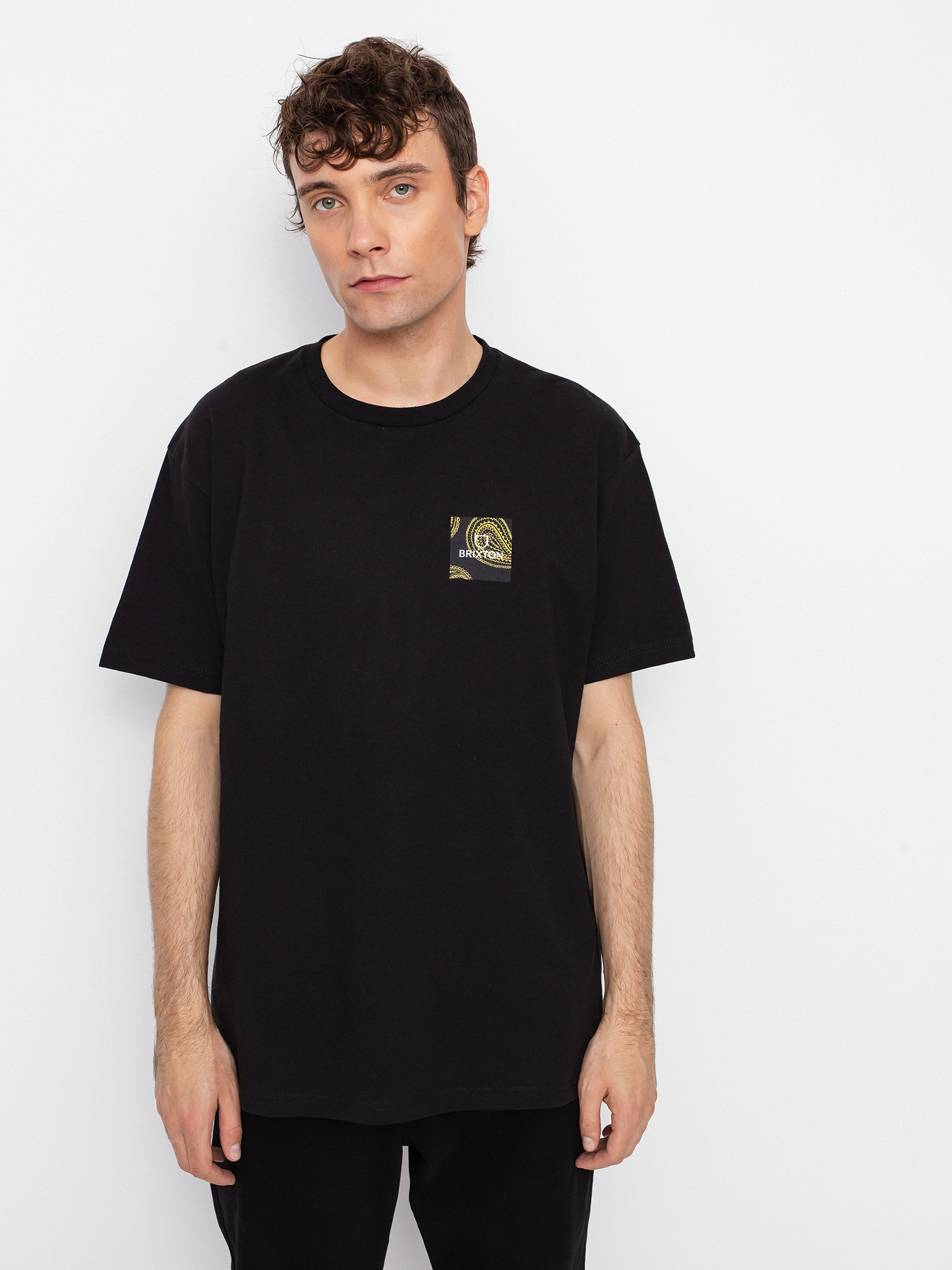 T-shirt Brixton Alpha Square Stt (paisley black)