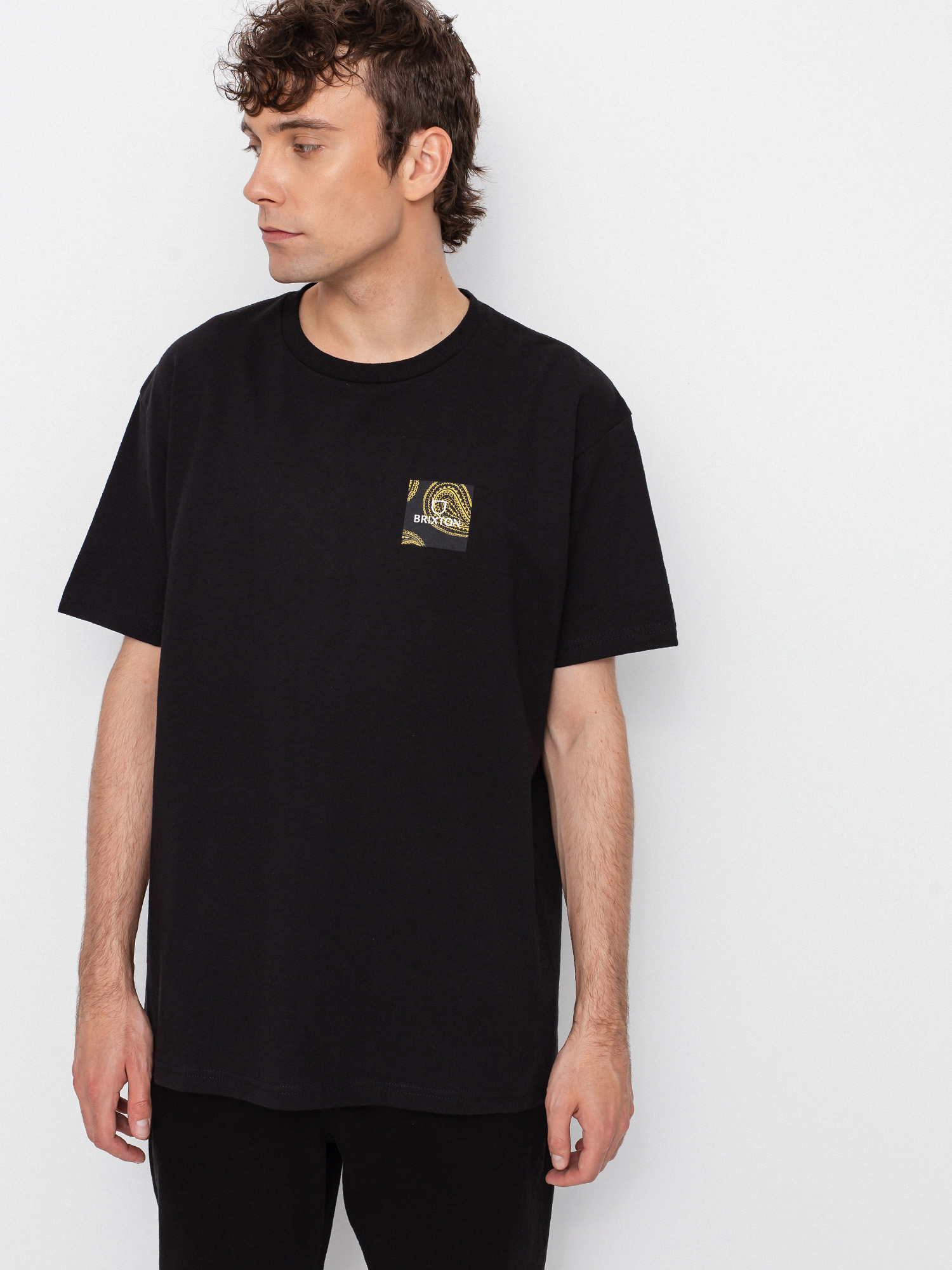 T-shirt Brixton Alpha Square Stt (paisley black)