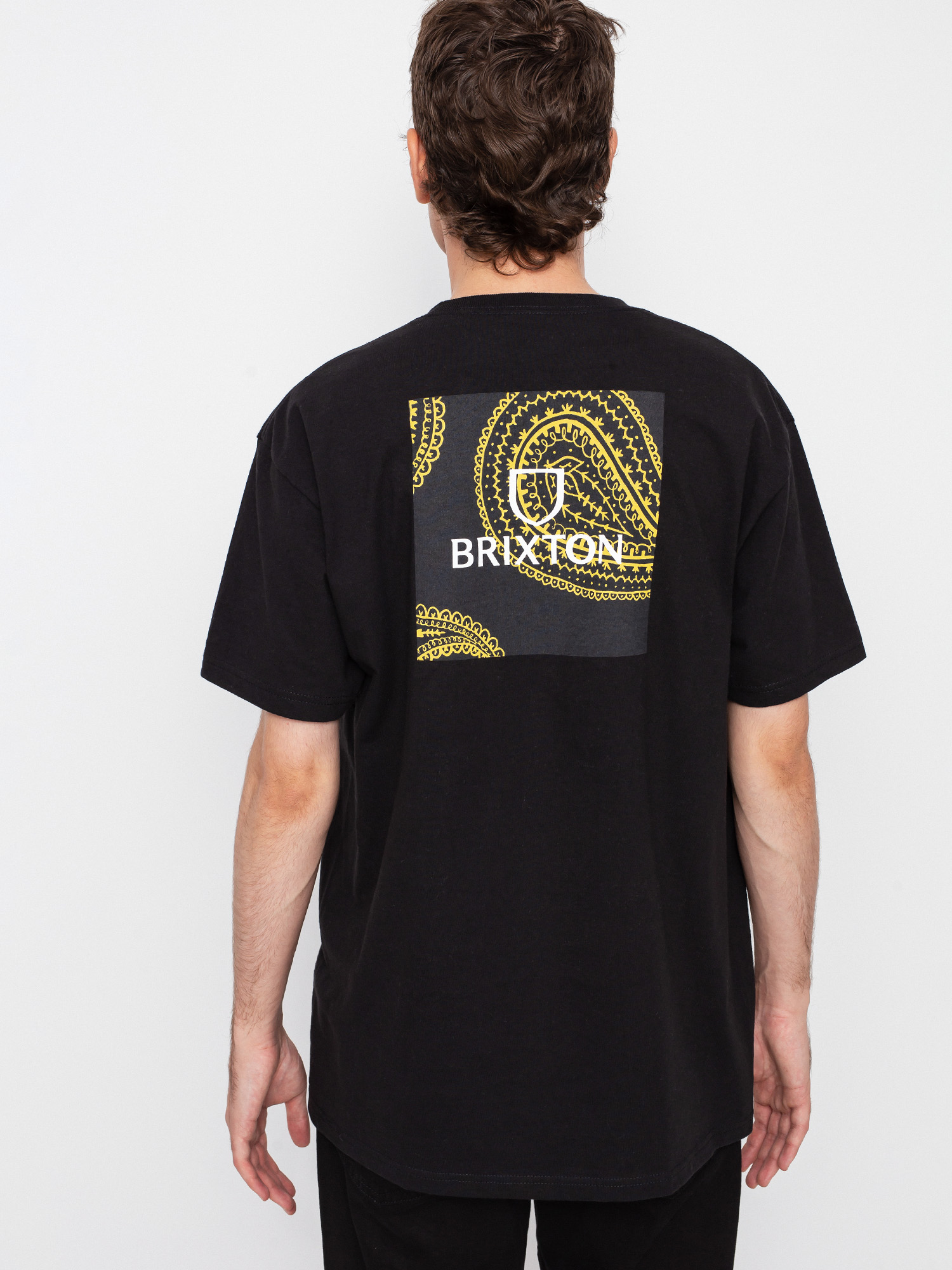 T-shirt Brixton Alpha Square Stt (paisley black)