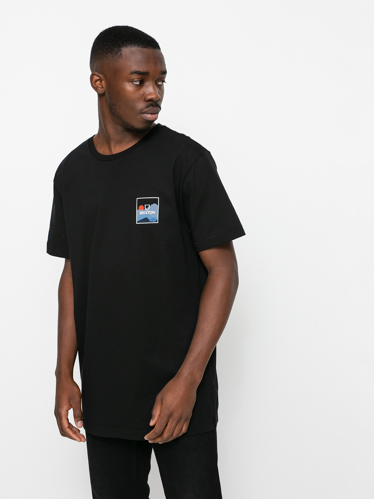 T-shirt Brixton Alpha Block Tlrt (mountain black)