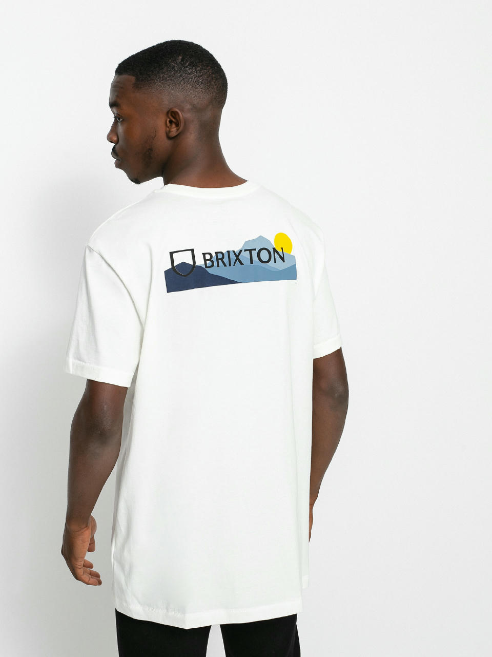 T-shirt Brixton Alpha Block Tlrt (mountain off white)