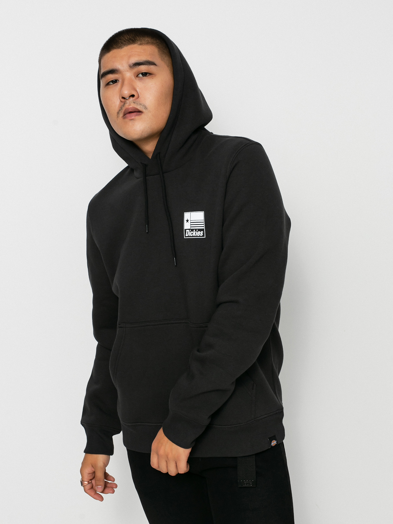 Bluza z kapturem Dickies Taylor HD (black)