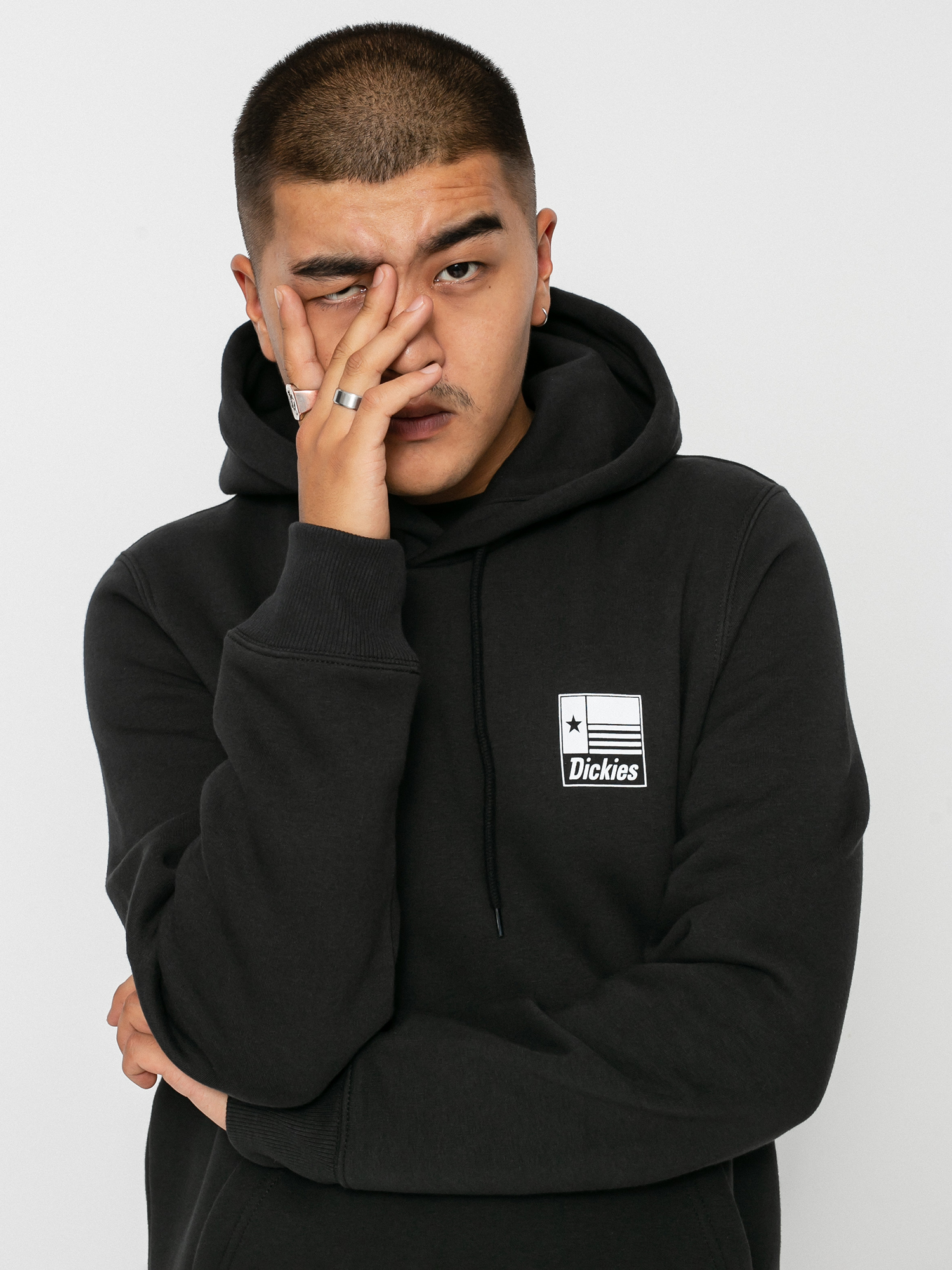 Bluza z kapturem Dickies Taylor HD (black)