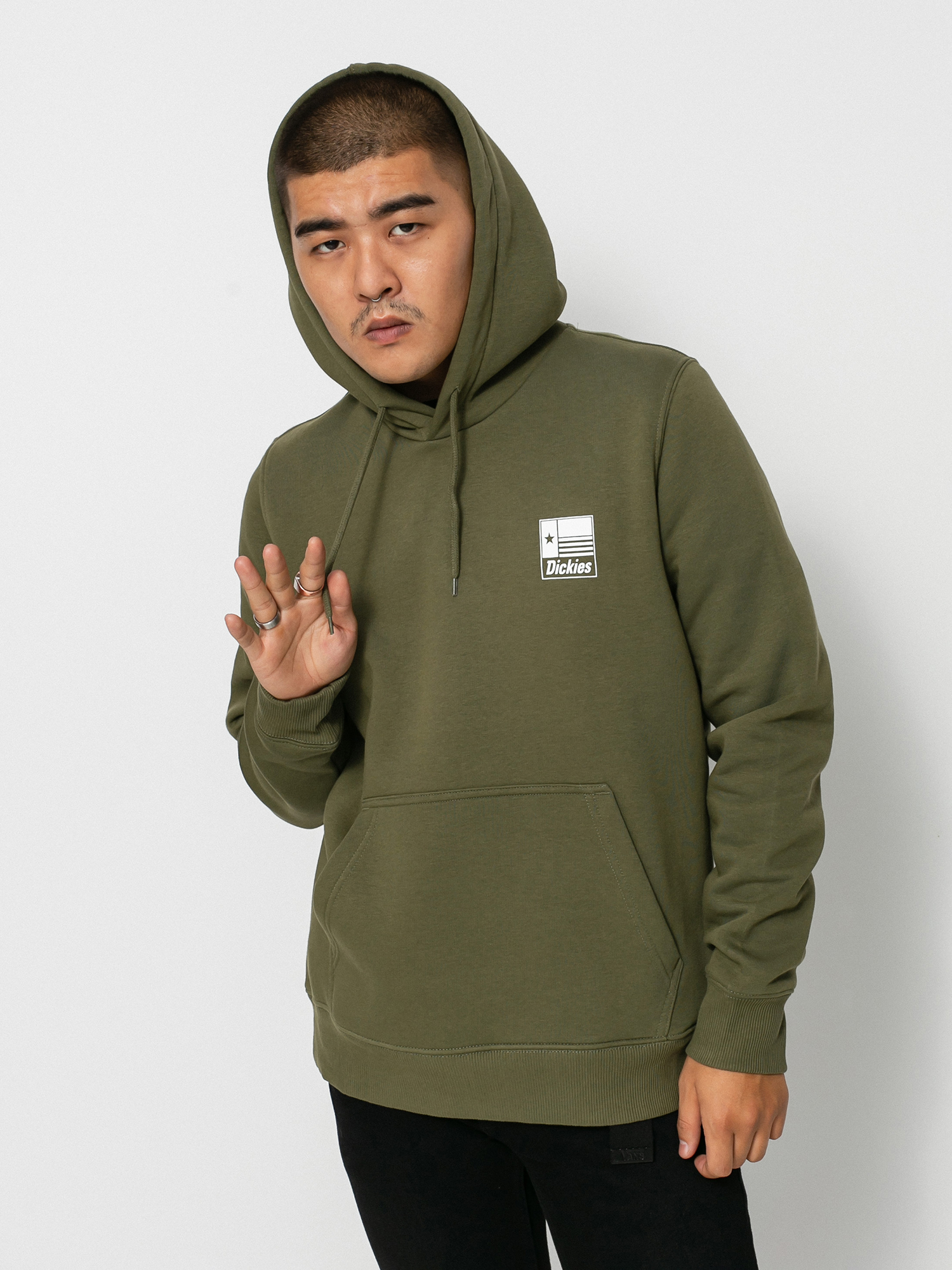 Bluza z kapturem Dickies Taylor HD (military gr)