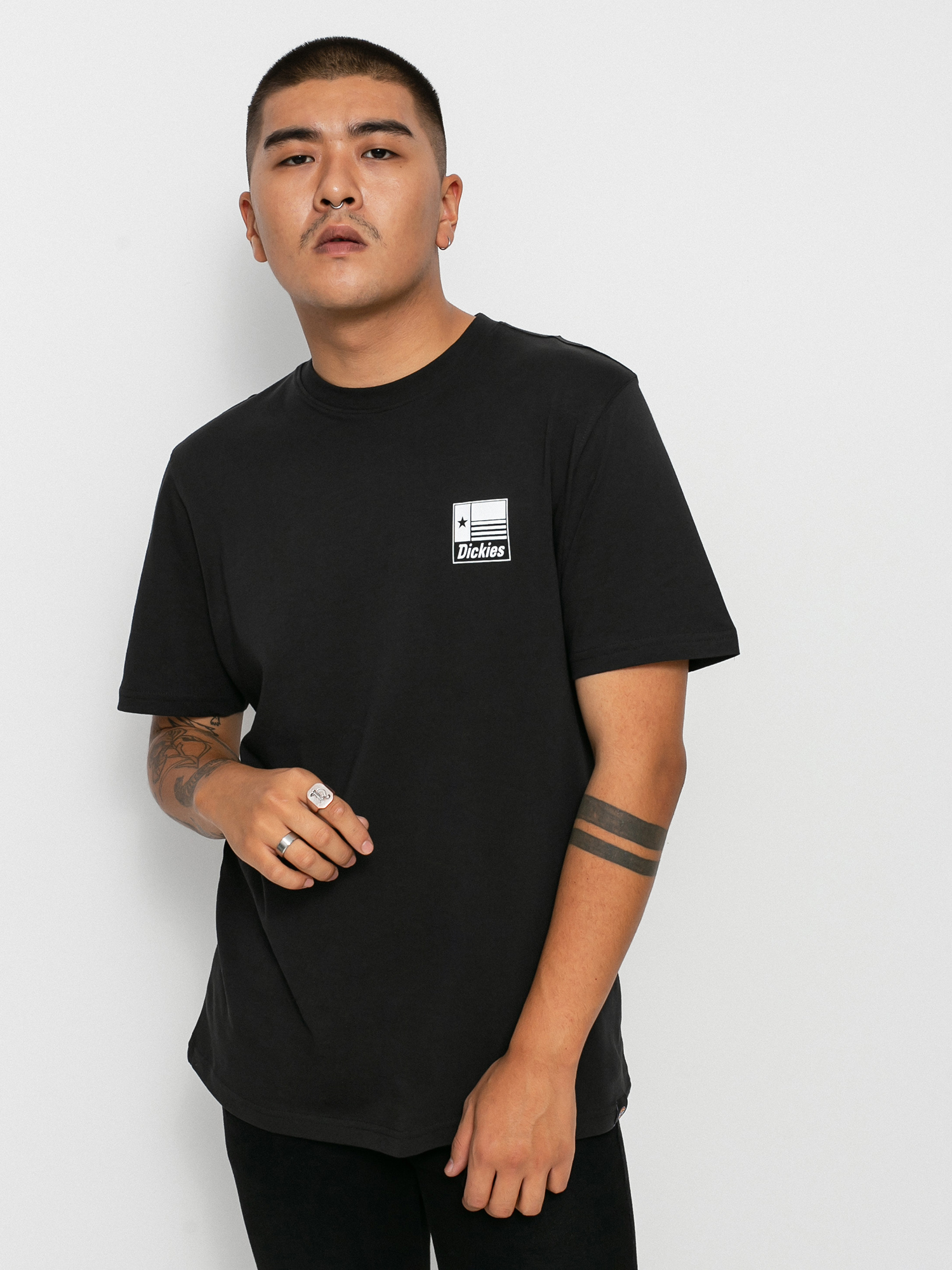 T-shirt Dickies Taylor (black)