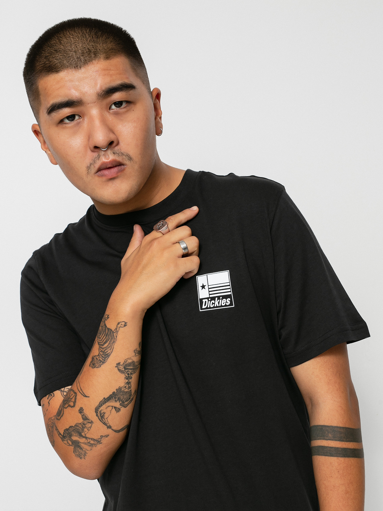 T-shirt Dickies Taylor (black)