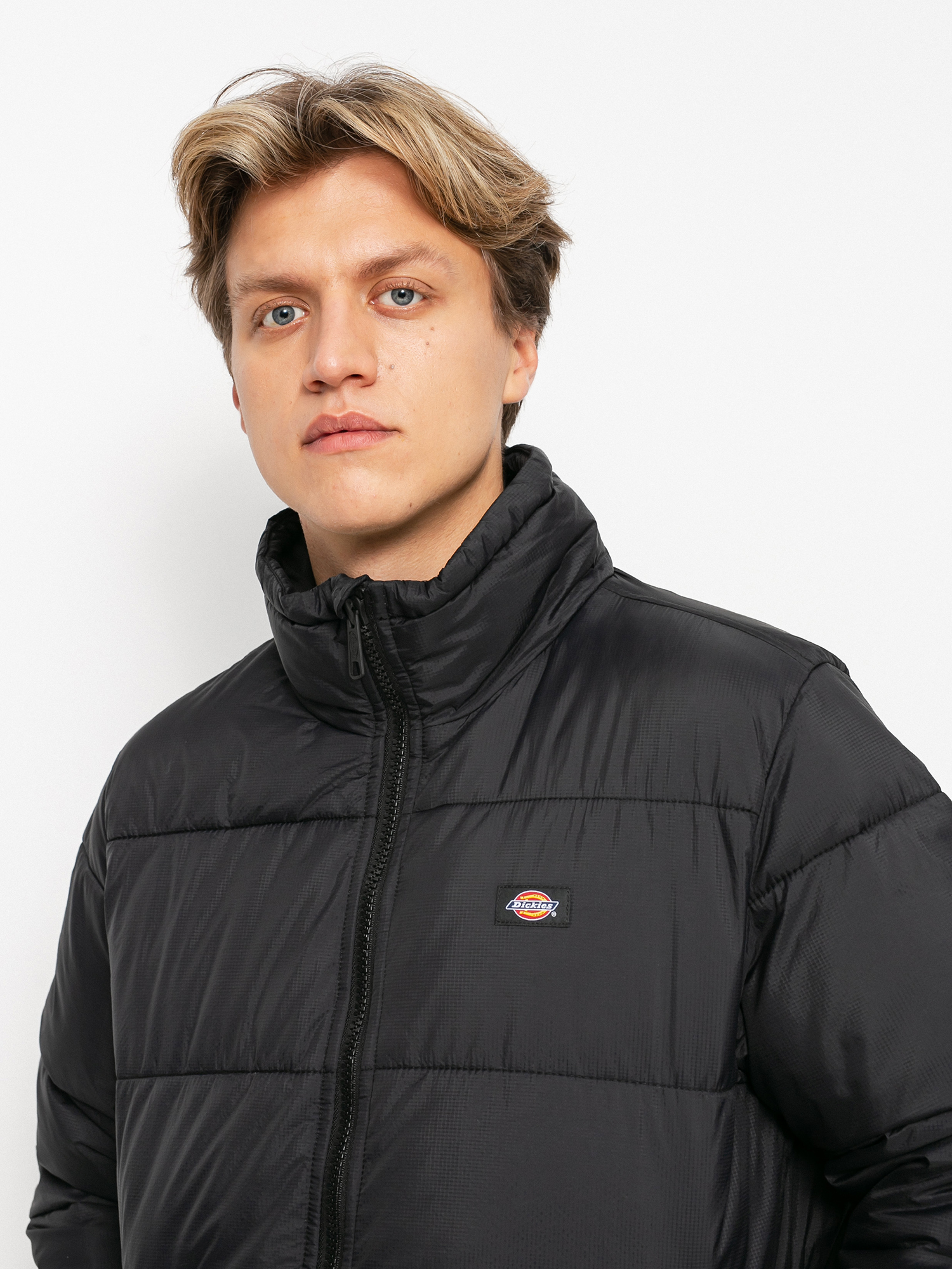 Kurtka Dickies Waldenburg (black)