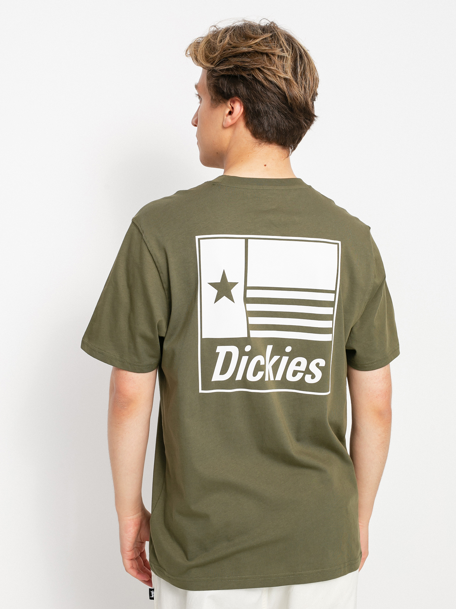 T-shirt Dickies Taylor (military gr)