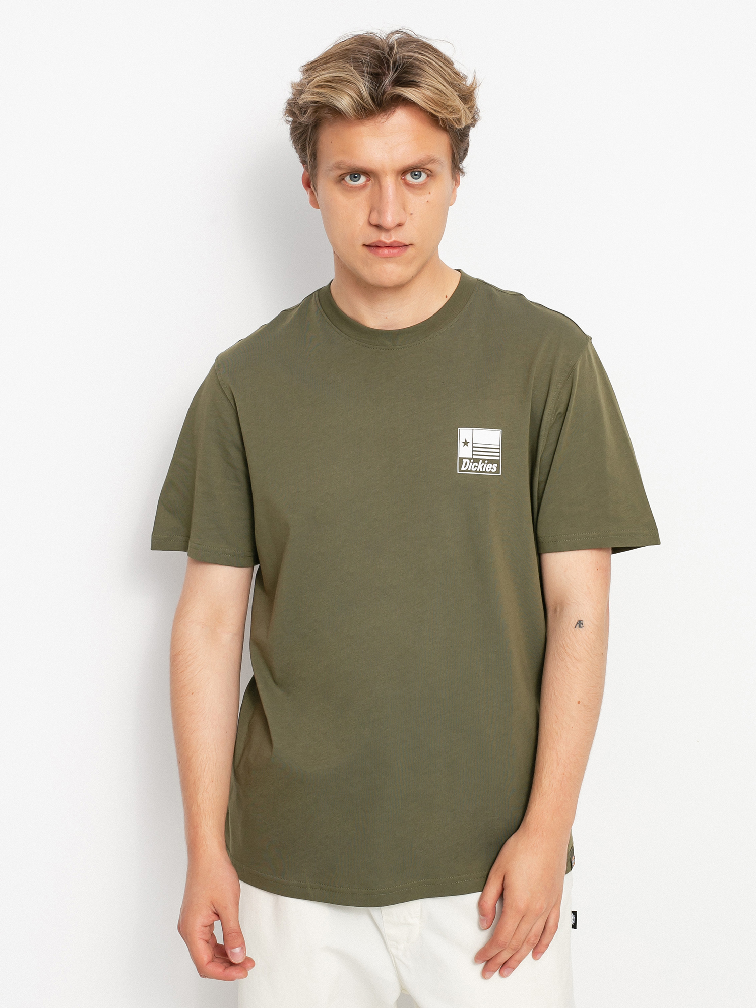T-shirt Dickies Taylor (military gr)