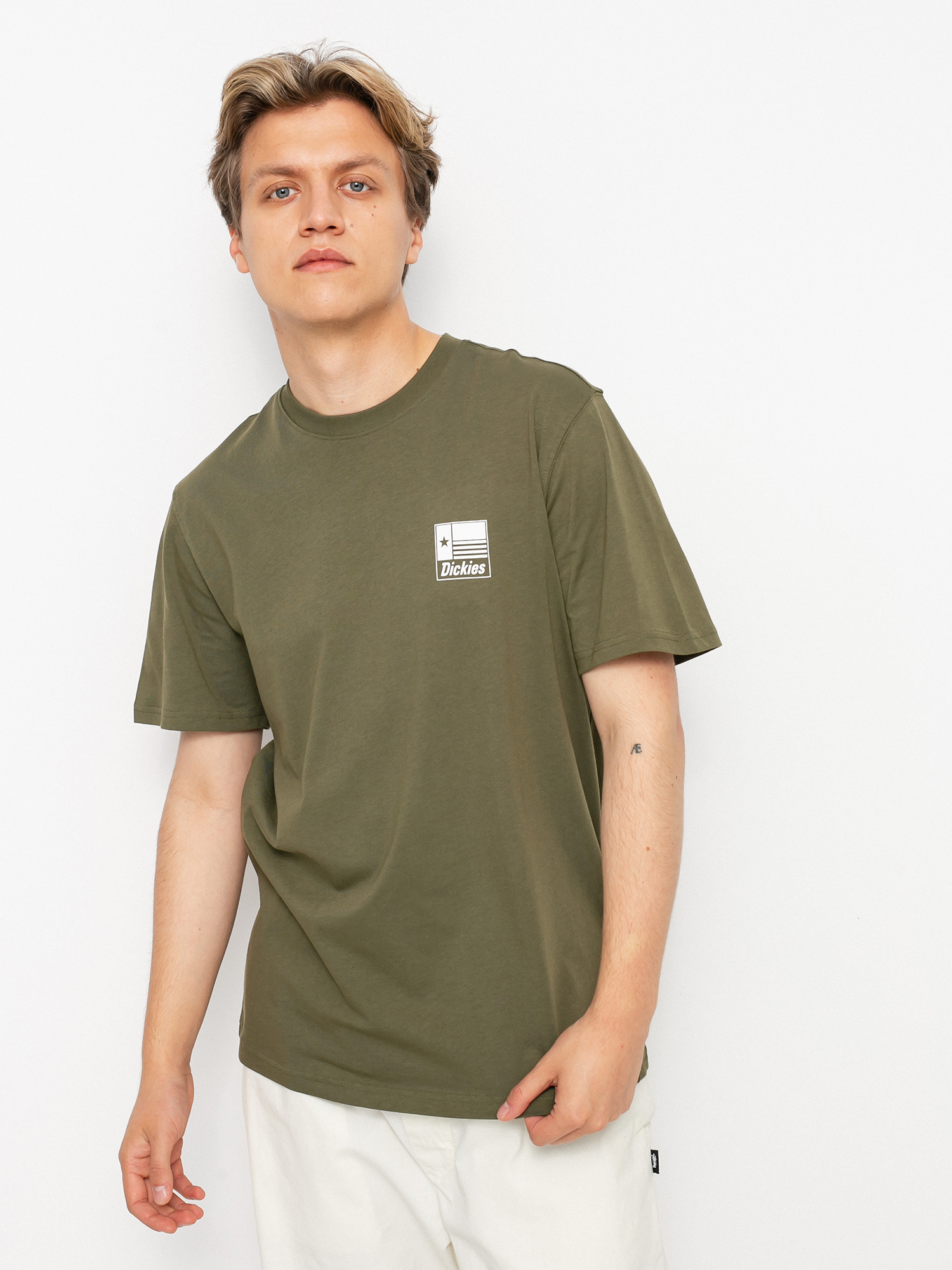 T-shirt Dickies Taylor (military gr)