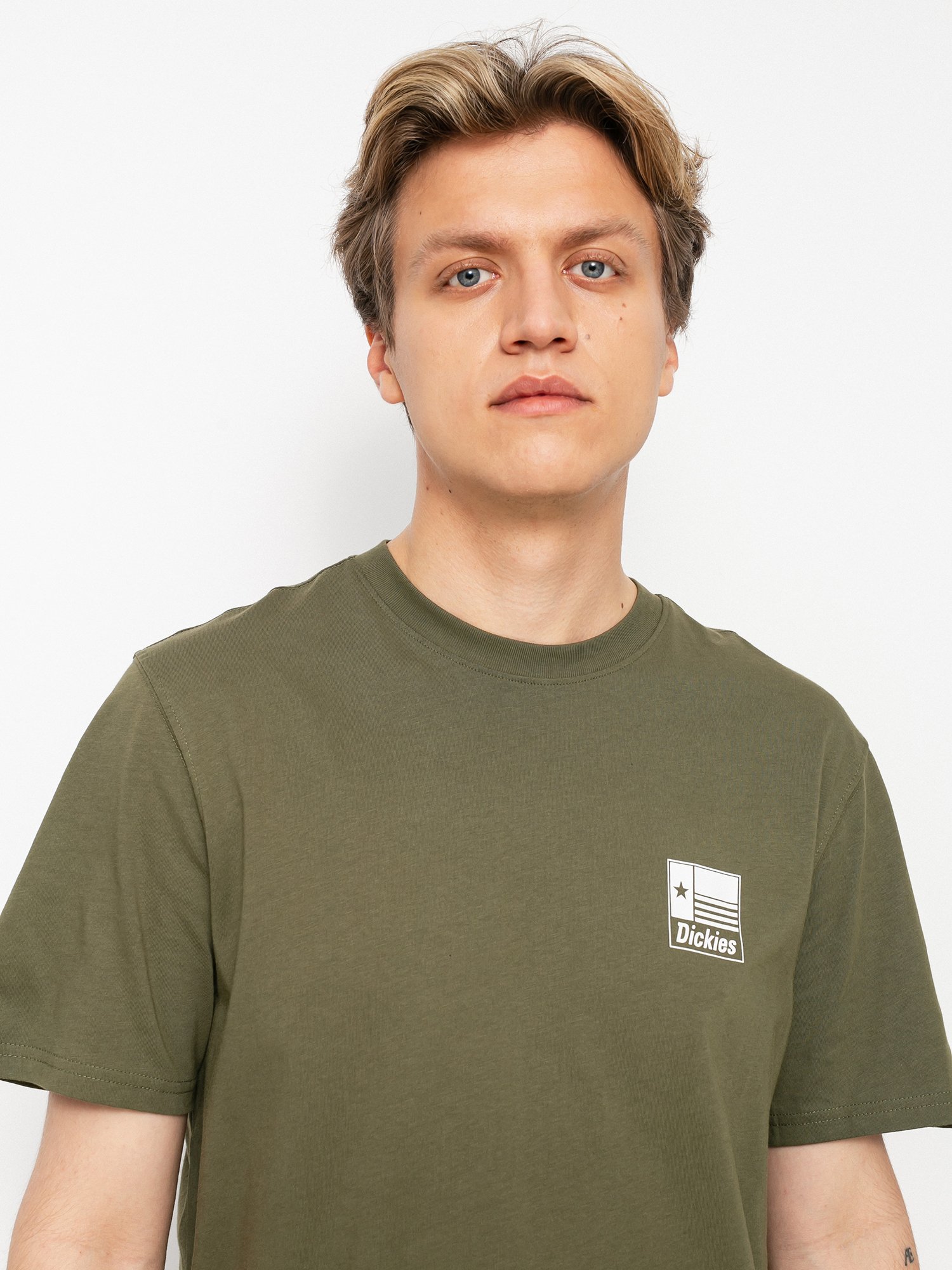 T-shirt Dickies Taylor (military gr)