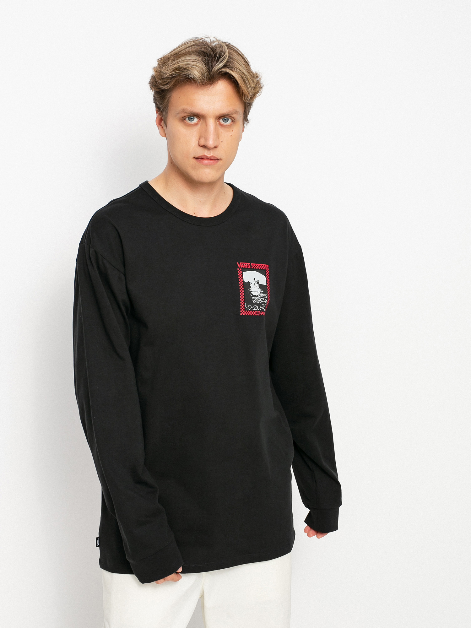 Longsleeve Vans X Public Snow (black)