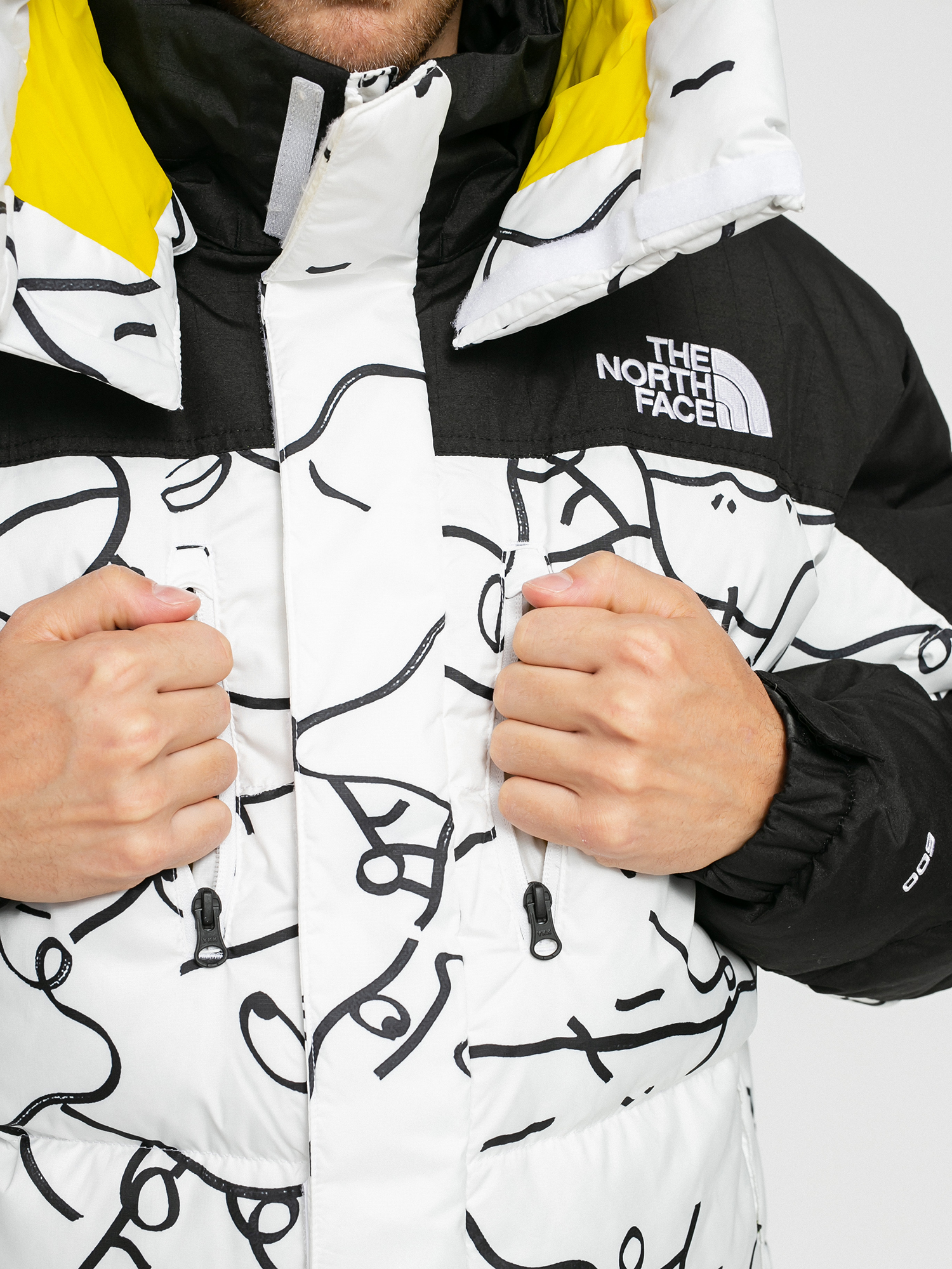 Kurtka The North Face Black Box Hmlyn Parka (tnfwshanmarserchanrscprnt)