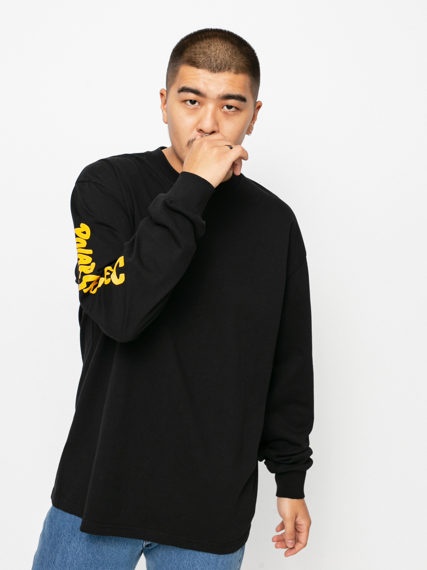 Longsleeve Polar Skate Facescape (black)