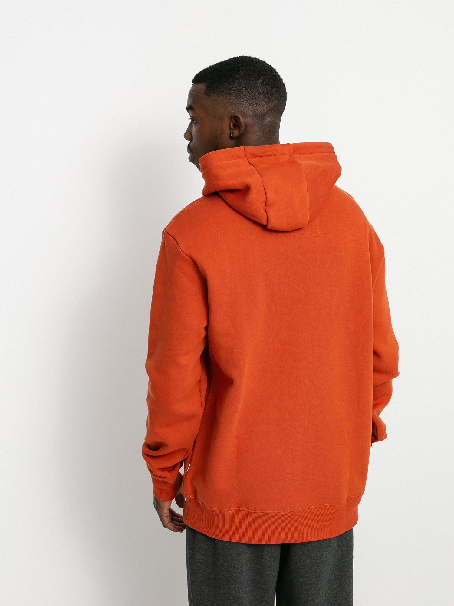 Bluza z kapturem Quiksilver Big Logo HD (cinnamon)