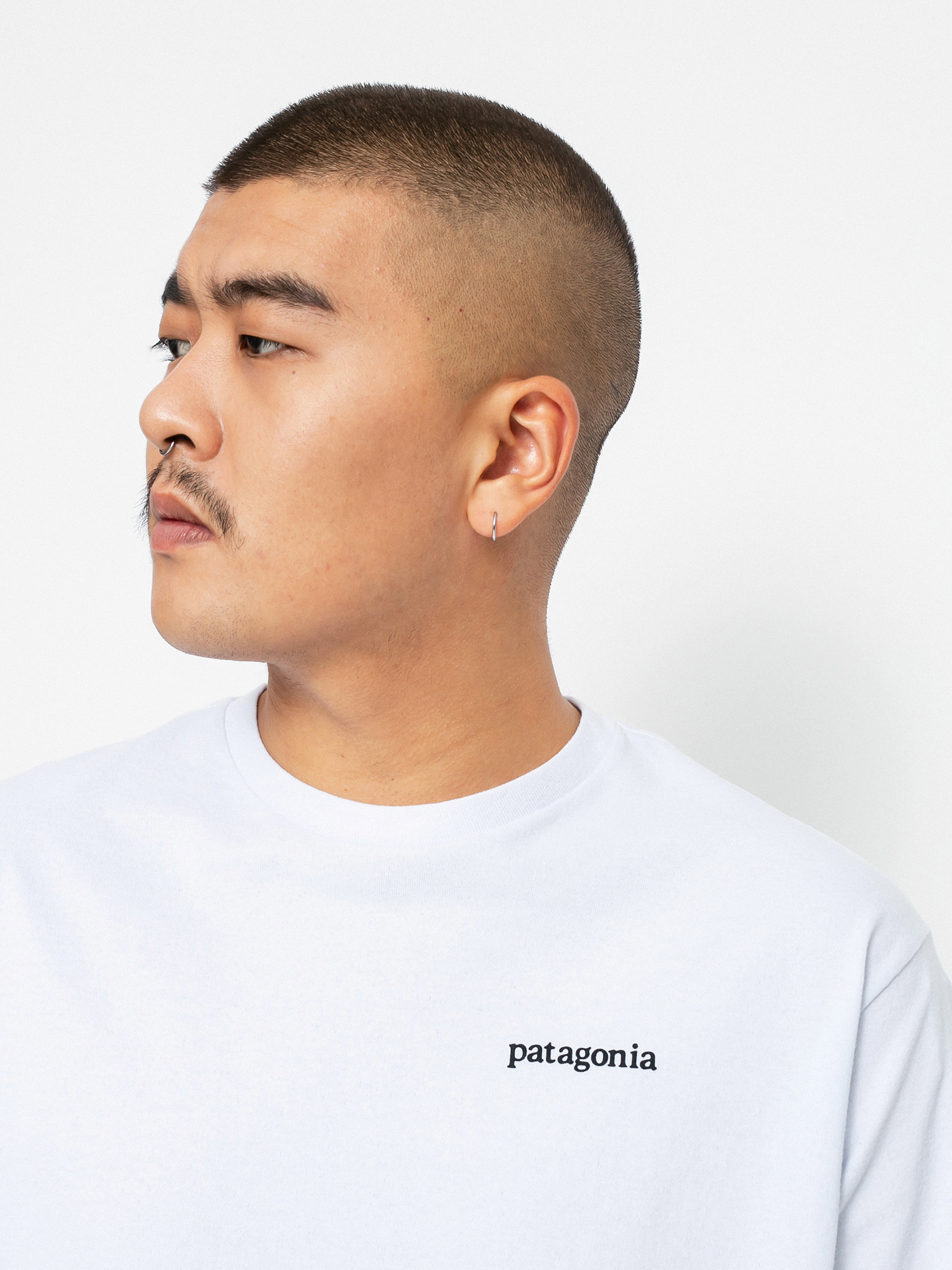 Longsleeve Patagonia Line Logo Ridge Responsibili (white)