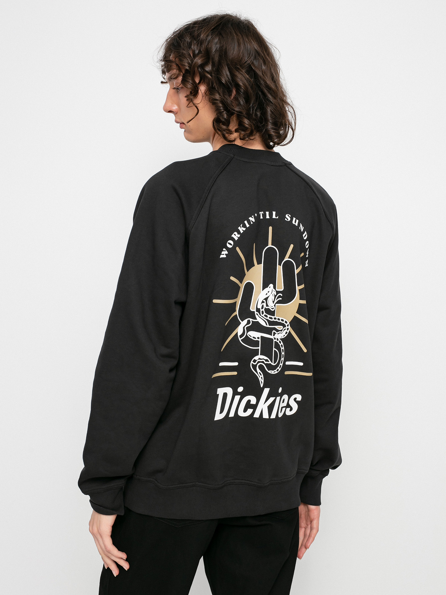 Bluza Dickies Bettles (black)