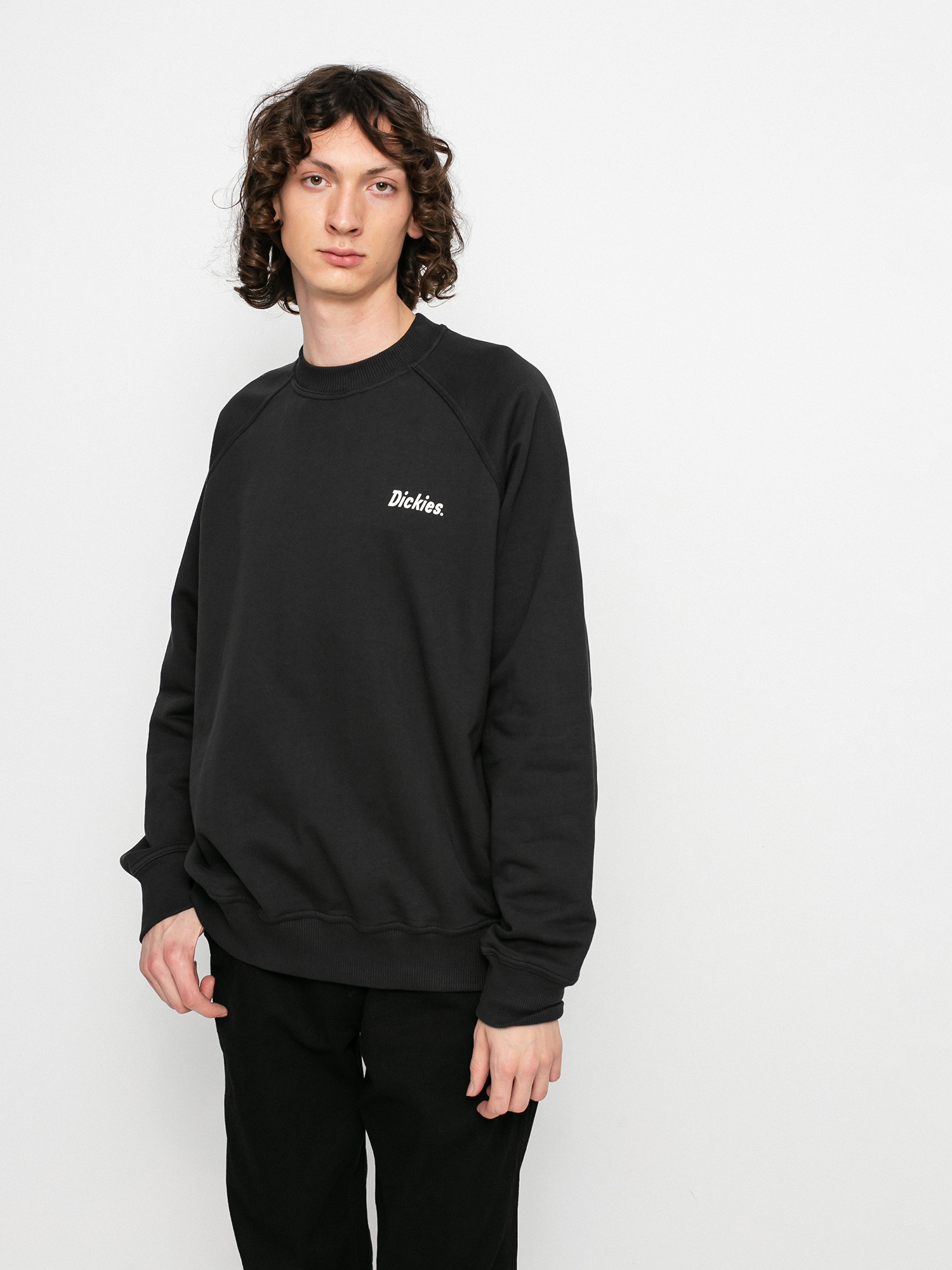 Bluza Dickies Bettles (black)