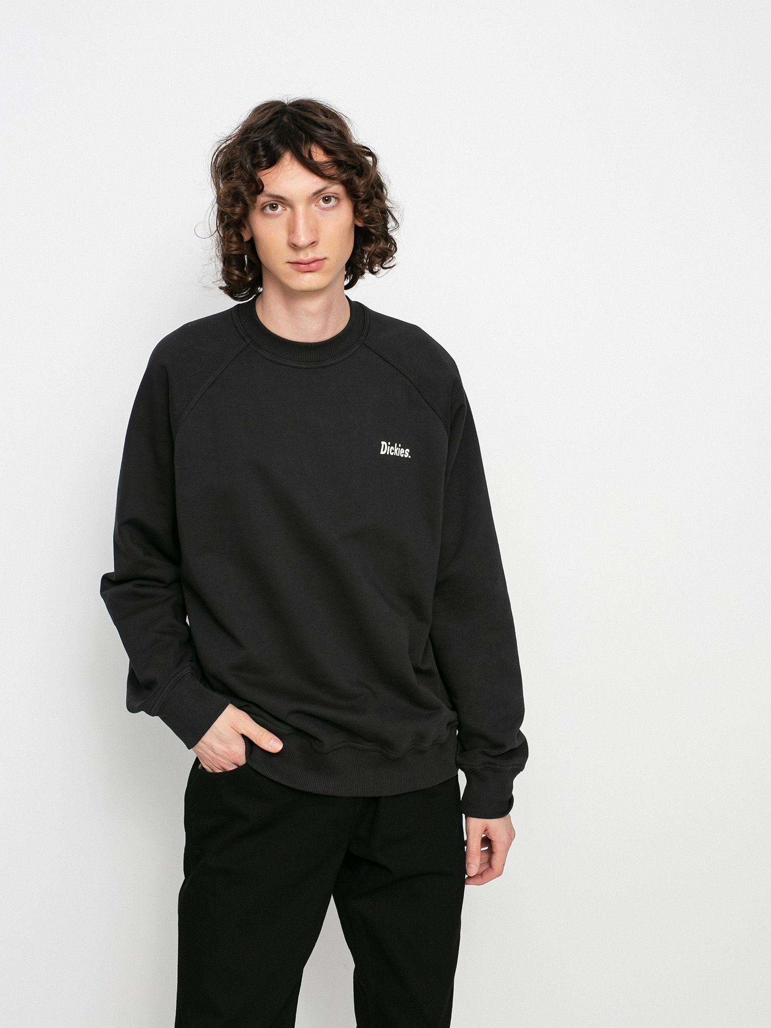Bluza Dickies Bettles (black)