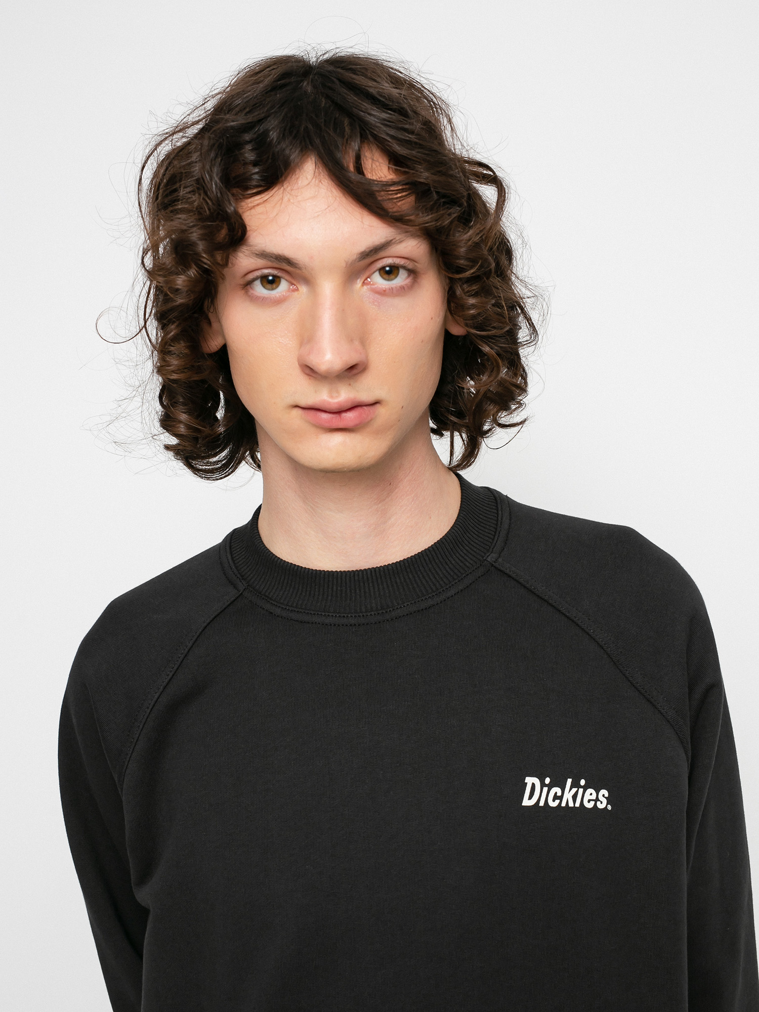 Bluza Dickies Bettles (black)