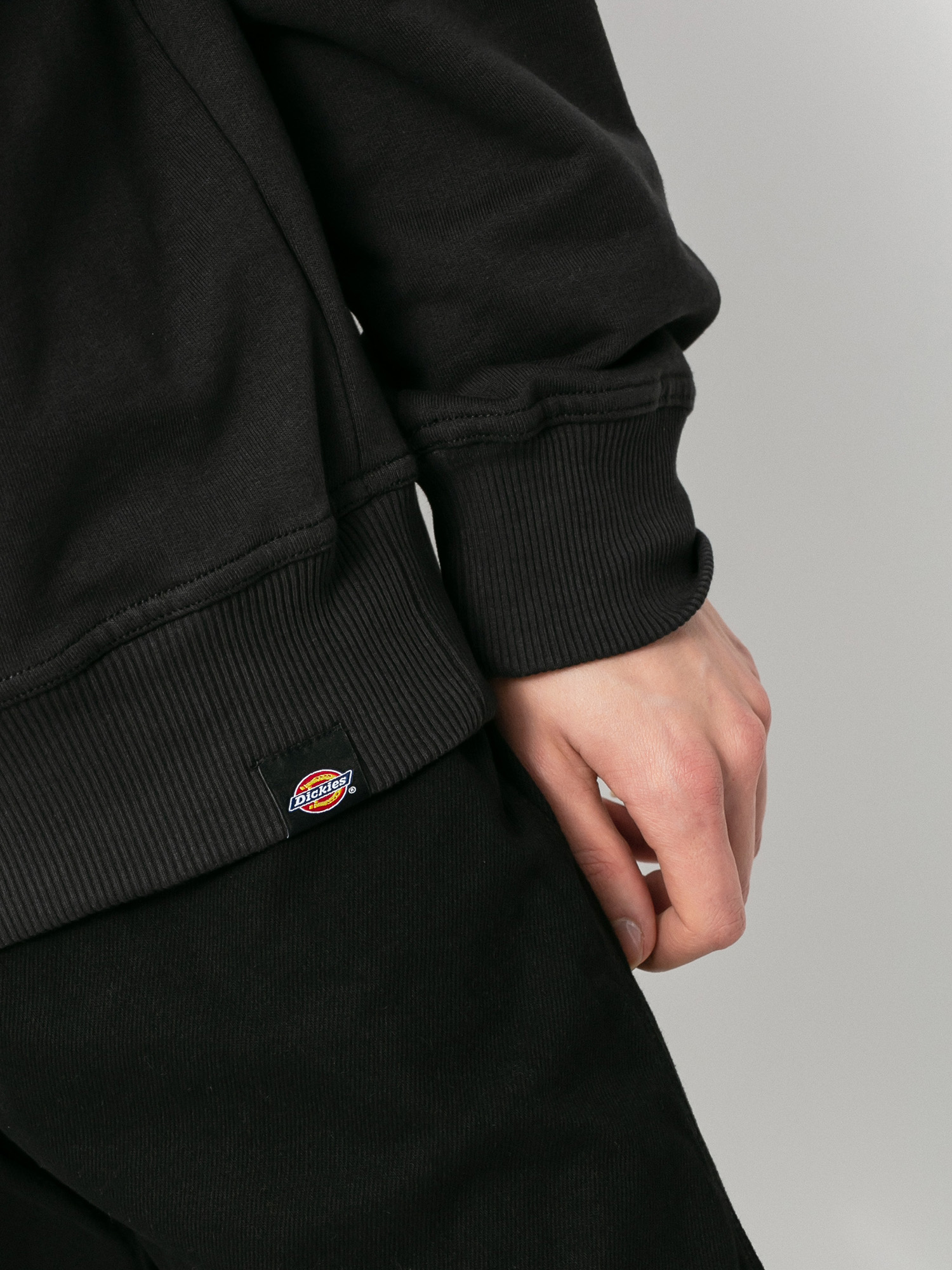 Bluza Dickies Bettles (black)