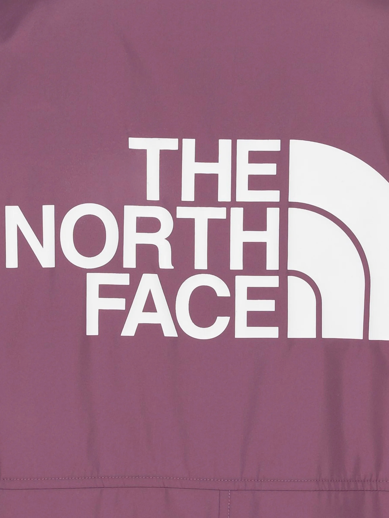 Kurtka The North Face Telegraphic Coaches (pikes purple)