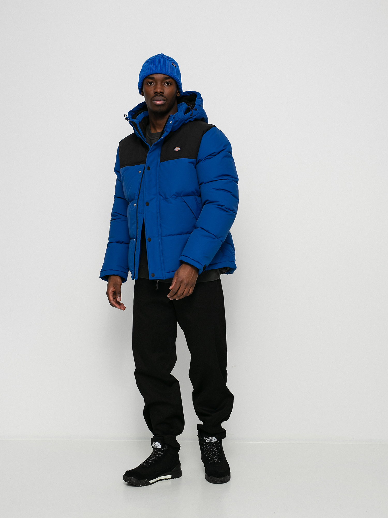 Kurtka Dickies Glacier View Coat (true blue)