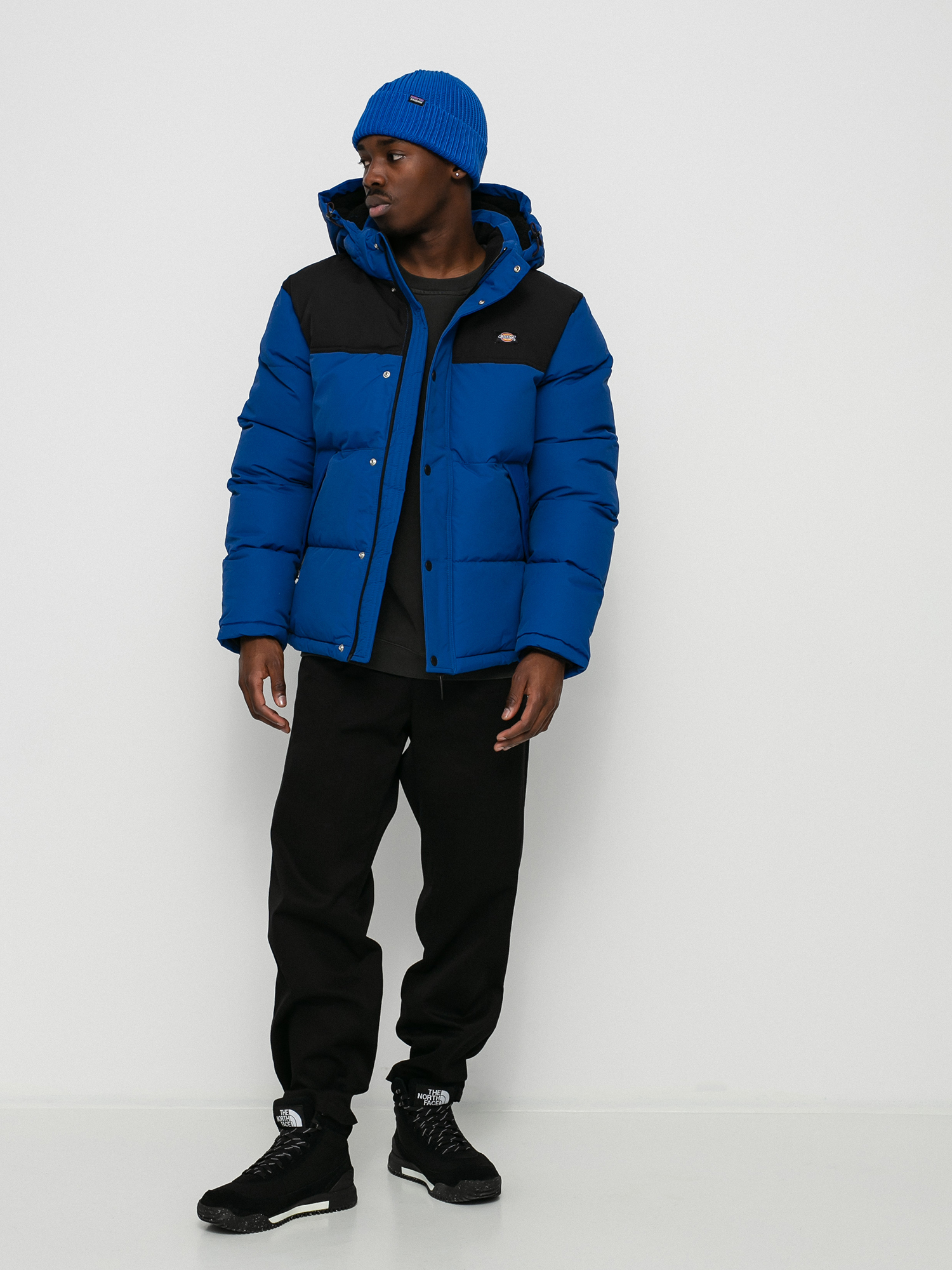 Kurtka Dickies Glacier View Coat (true blue)