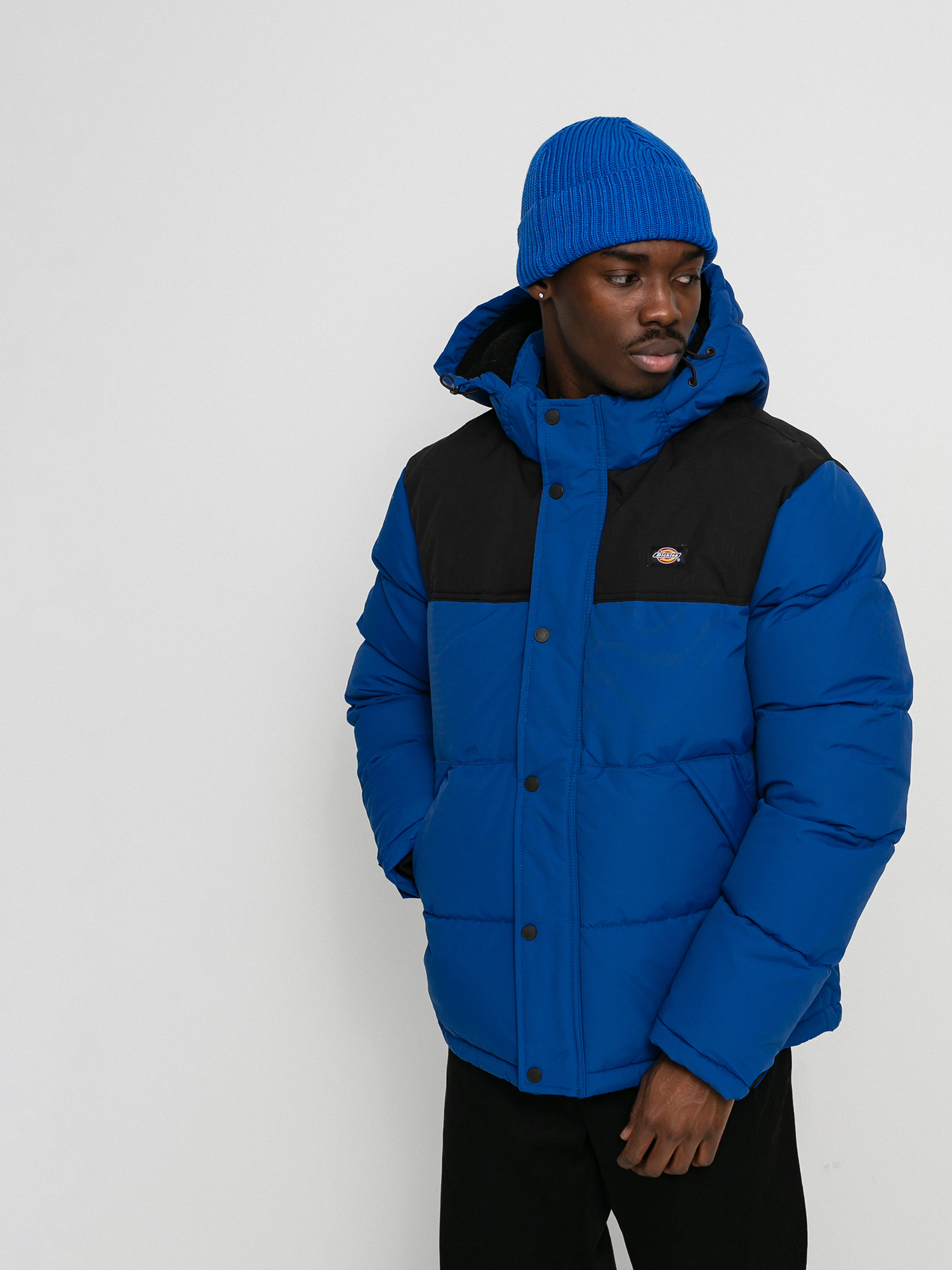 Kurtka Dickies Glacier View Coat (true blue)