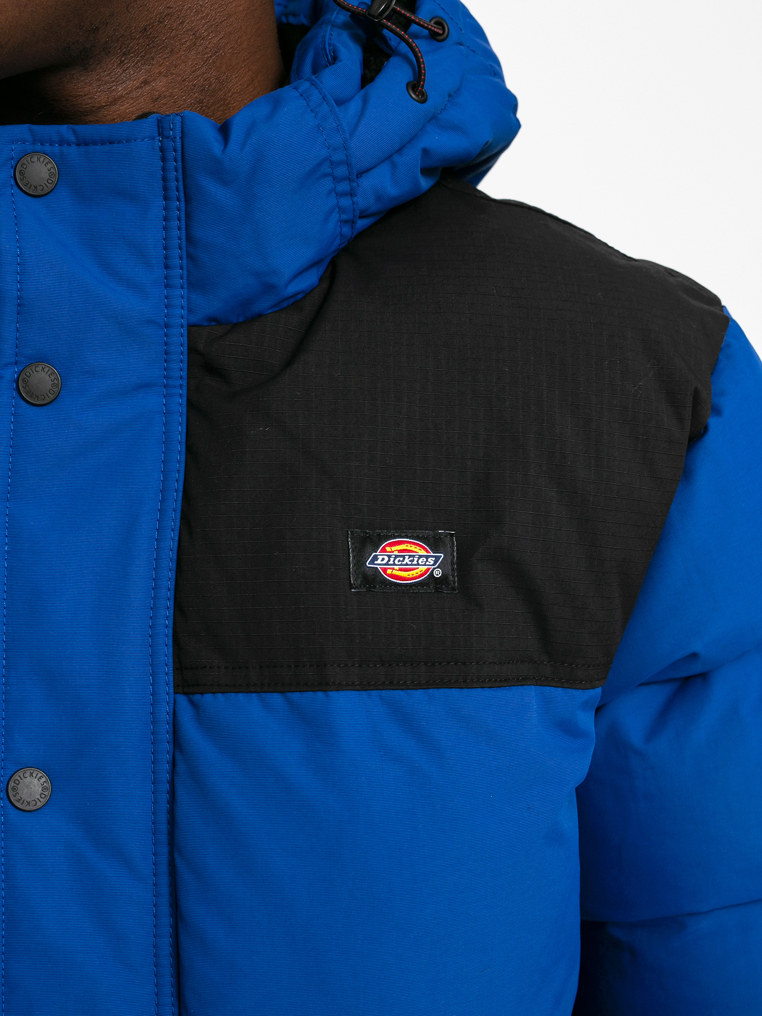 Kurtka Dickies Glacier View Coat (true blue)