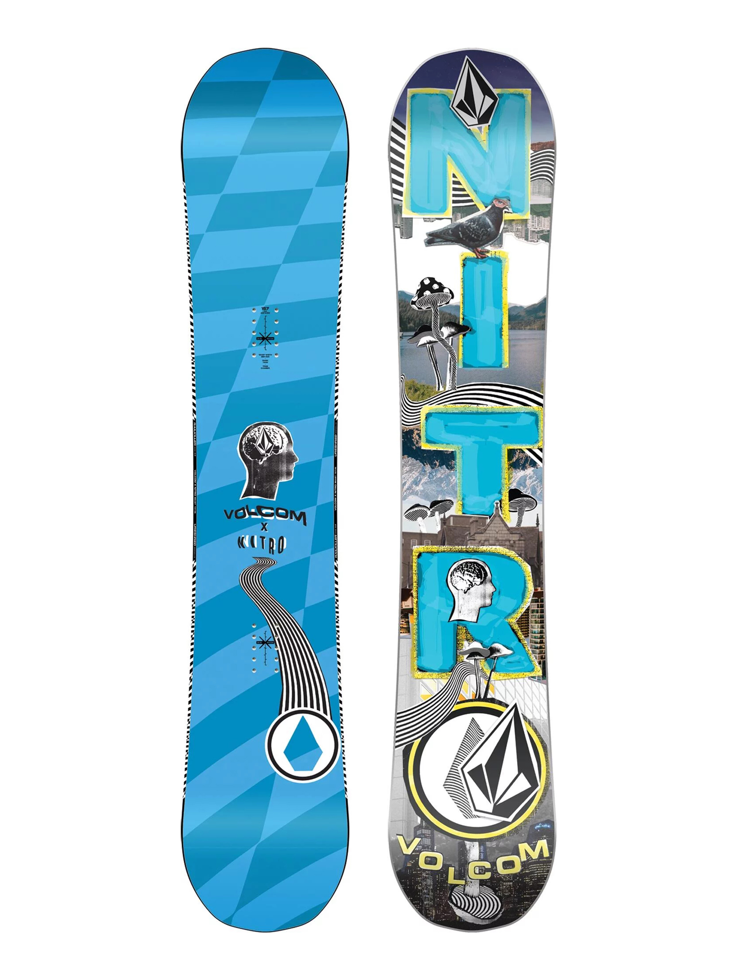 豪華で新しい 19-20 NITRO BEAST×VOLCOM FLEX PR sarasaviya.lk