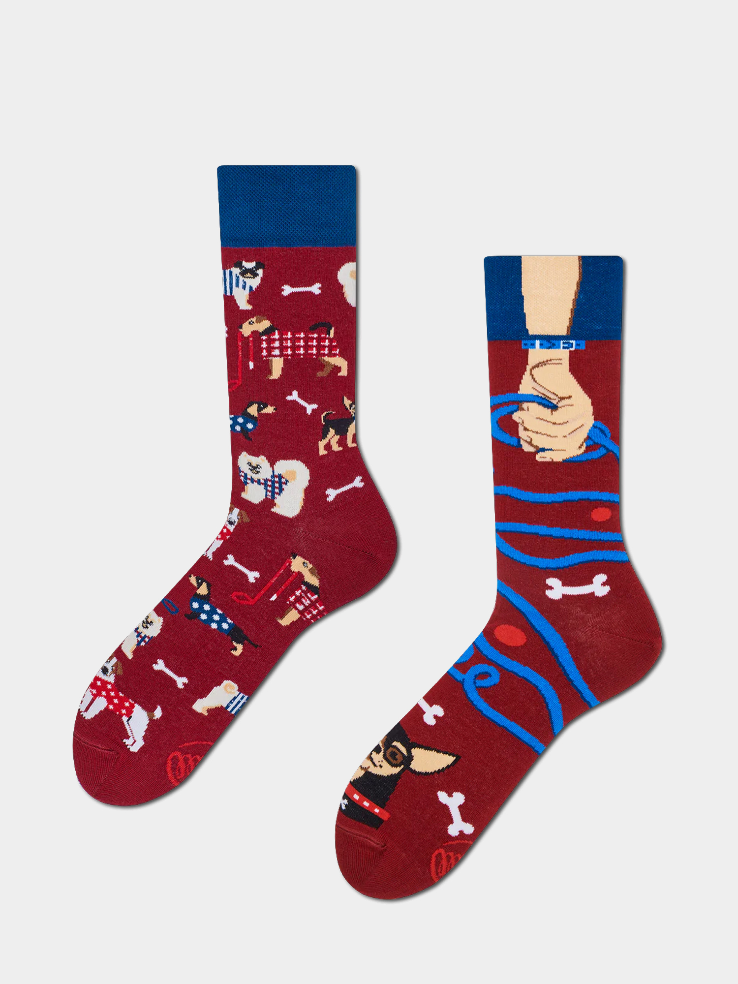 Skarpetki Many Mornings Walkie Doggie (navy/burgundy)
