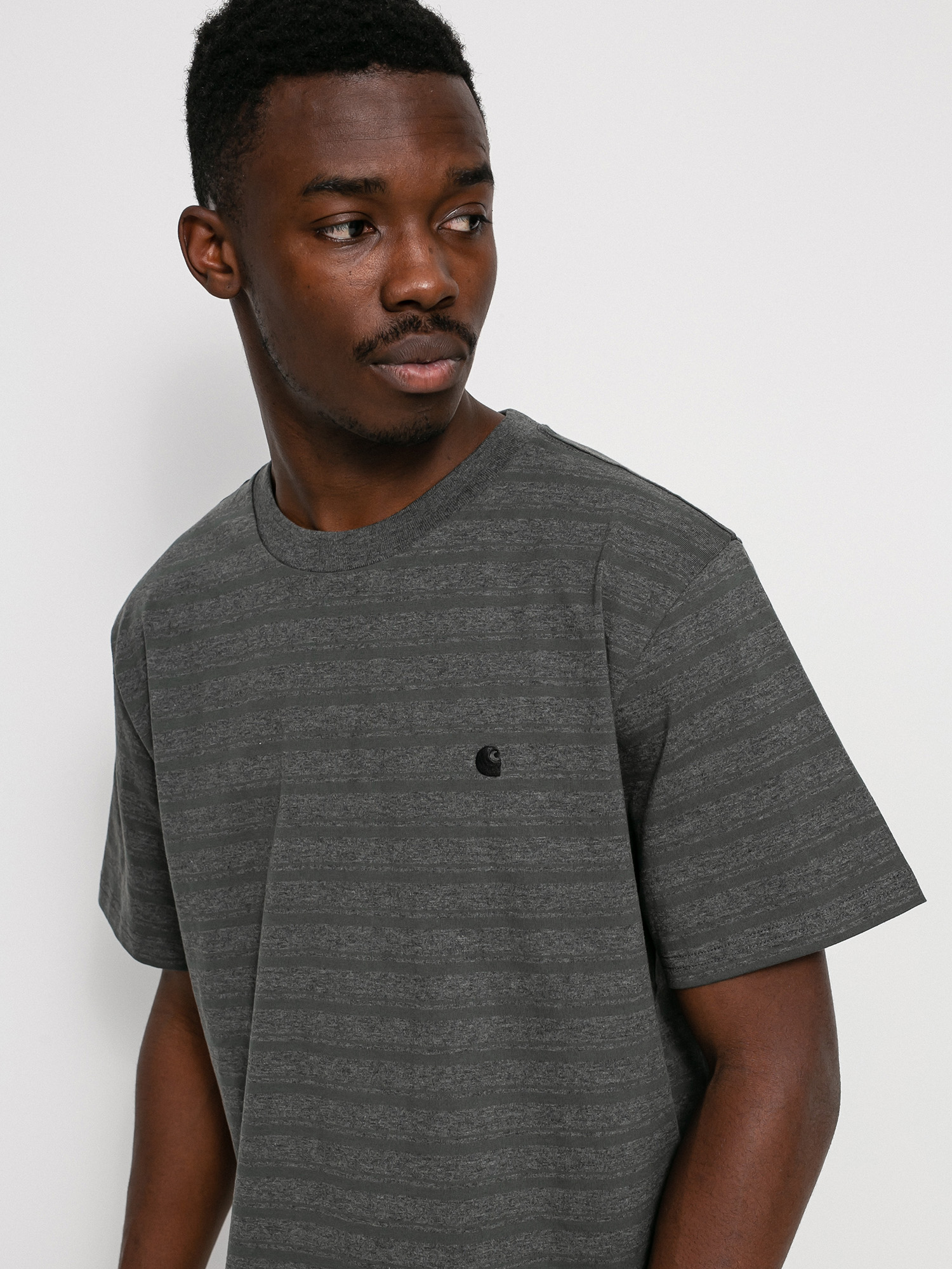 T-shirt Carhartt WIP Gleeson (gleeson stripe/hemlock green/stormcloud heather)