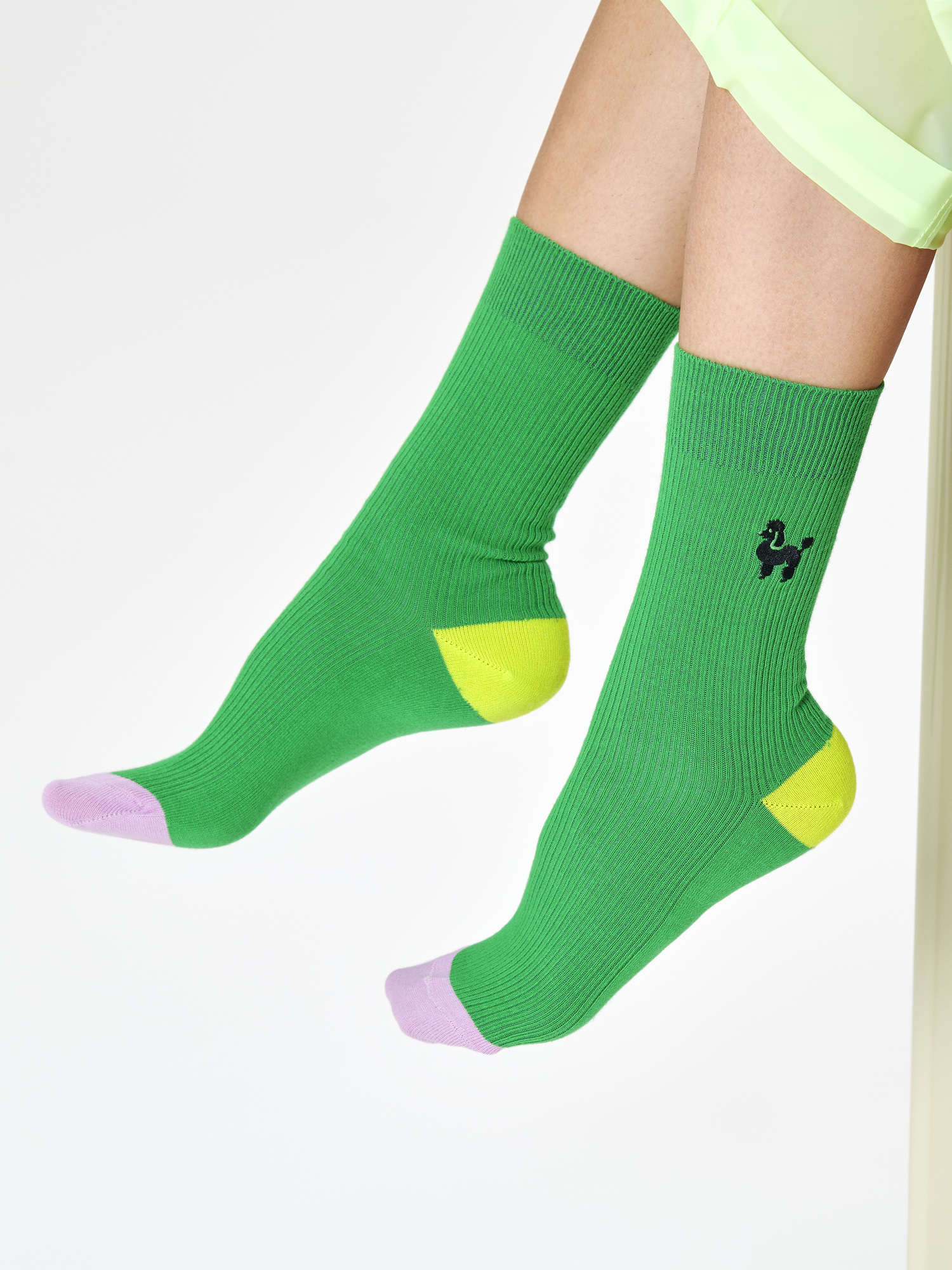 Skarpetki Happy Socks Ribbed Embroidery Poodle (green)